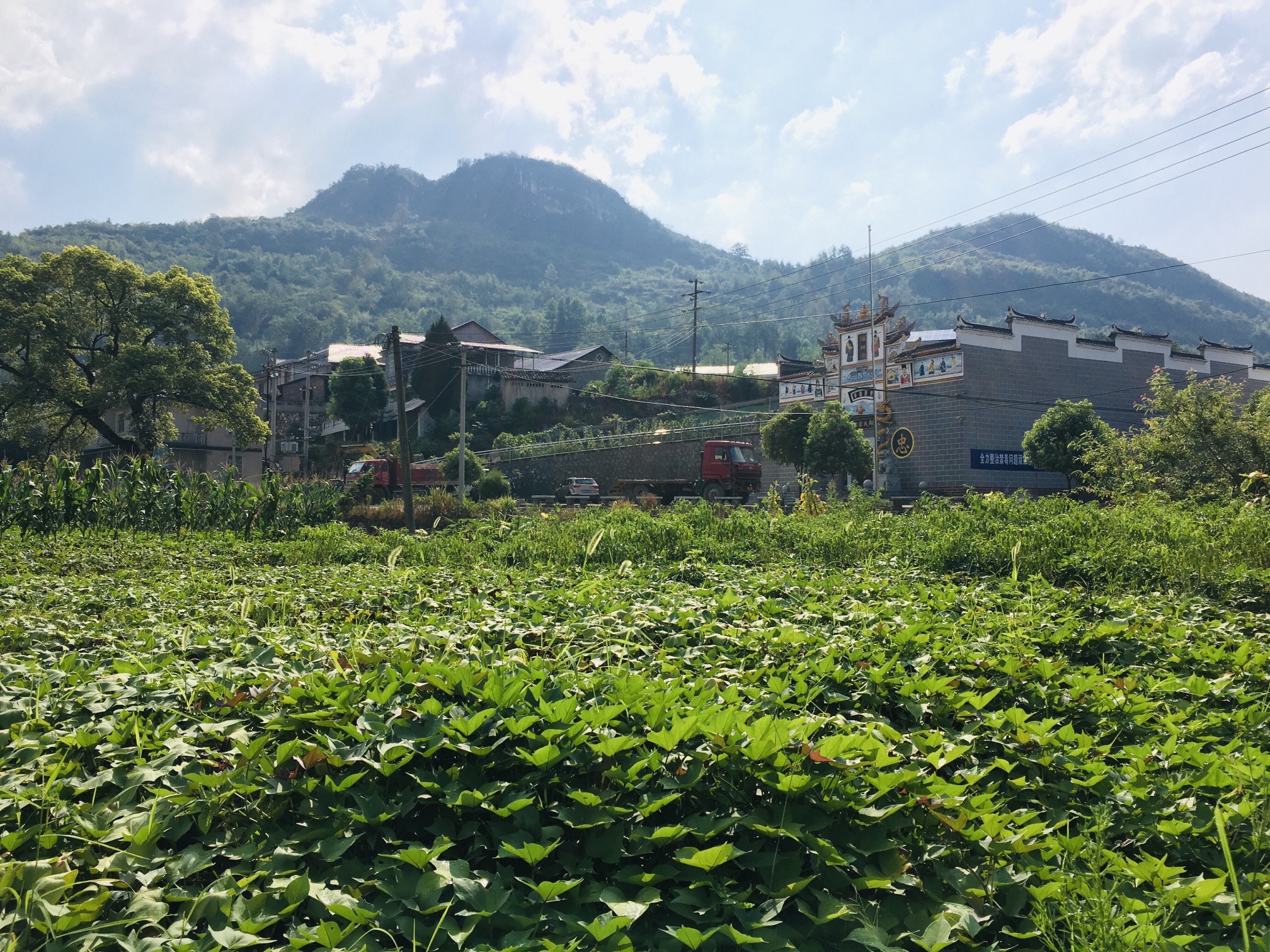 邹氏宗祠旅行图片 1