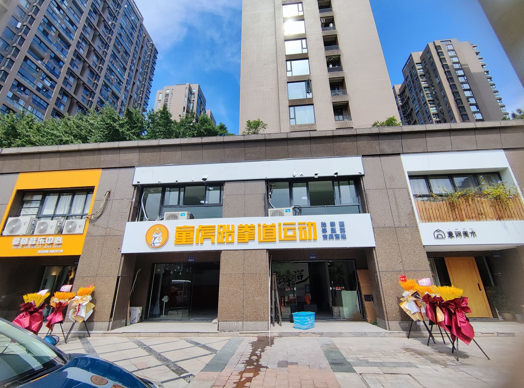 场地封面-童虎跆拳道运动