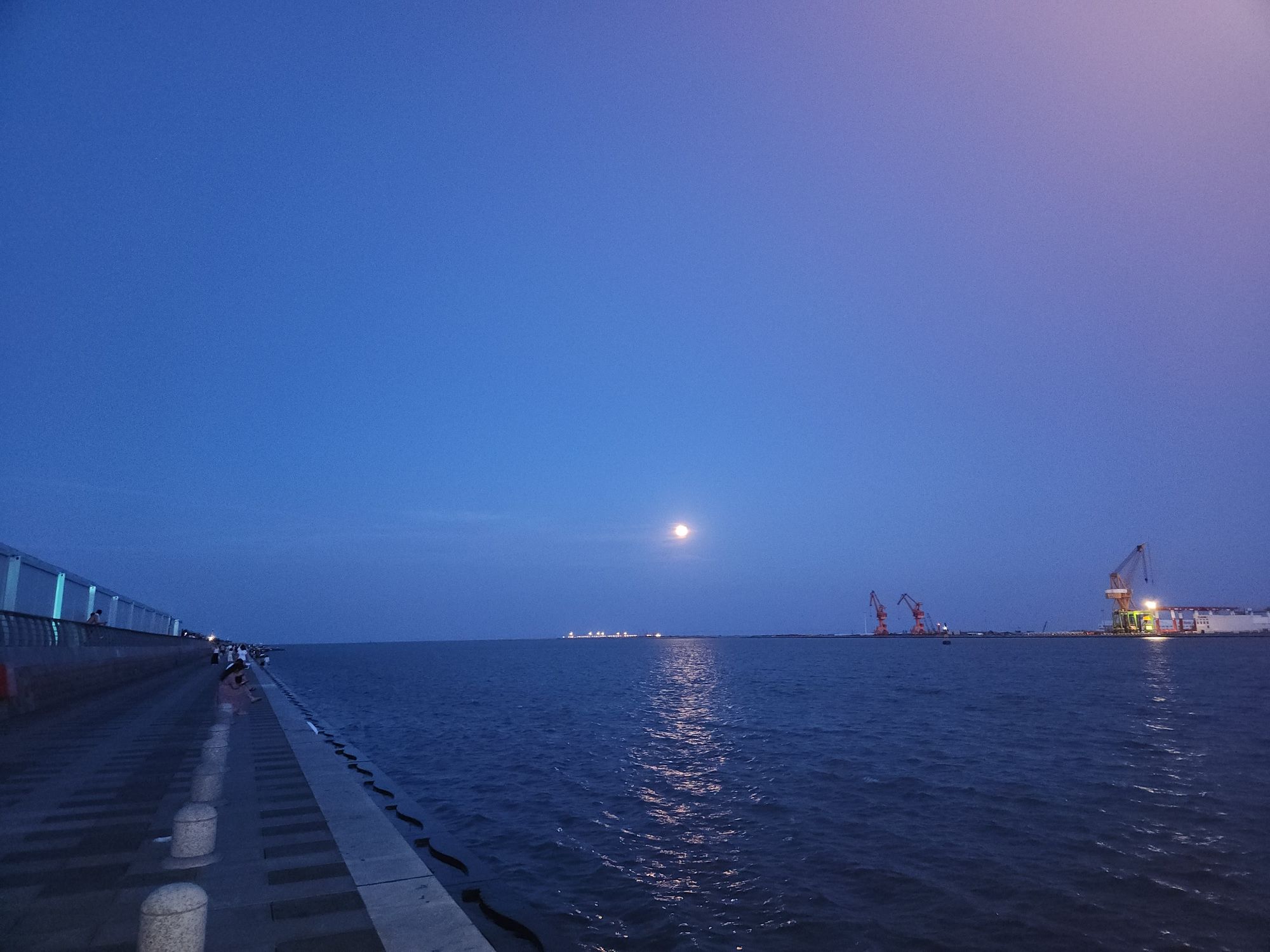 天津临港海岸线公园旅行图片 1