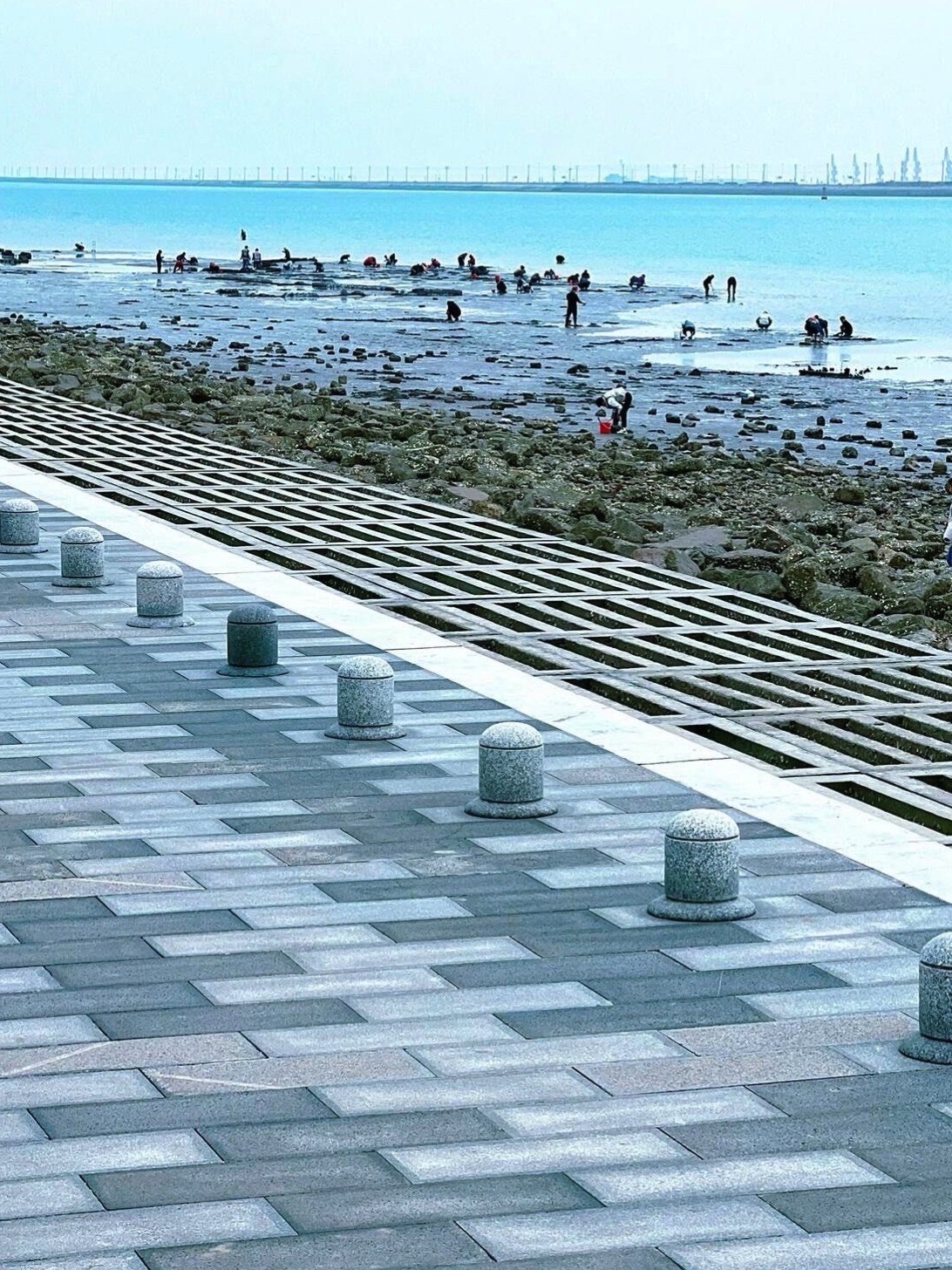 天津临港海岸线公园旅行图片 3