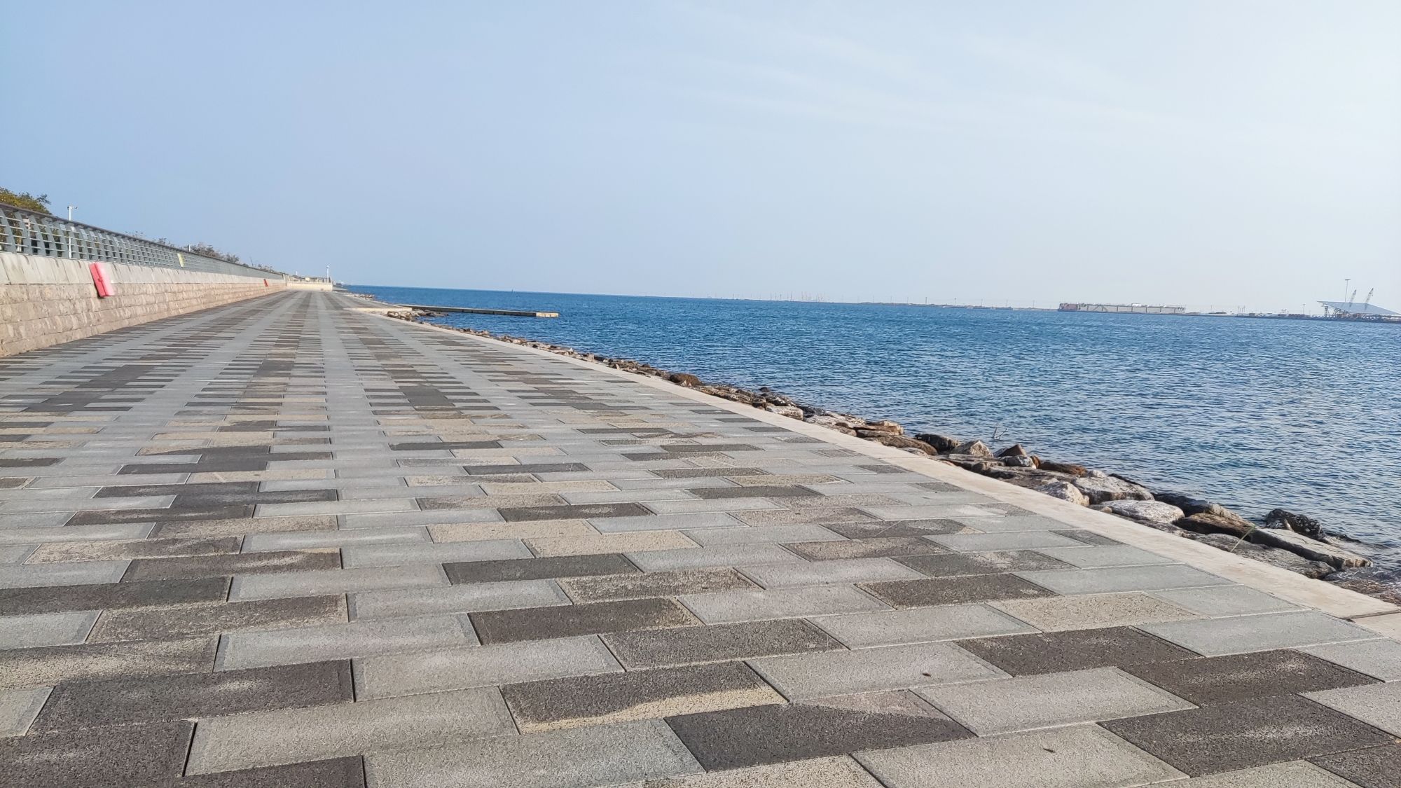 天津临港海岸线公园旅行图片 3