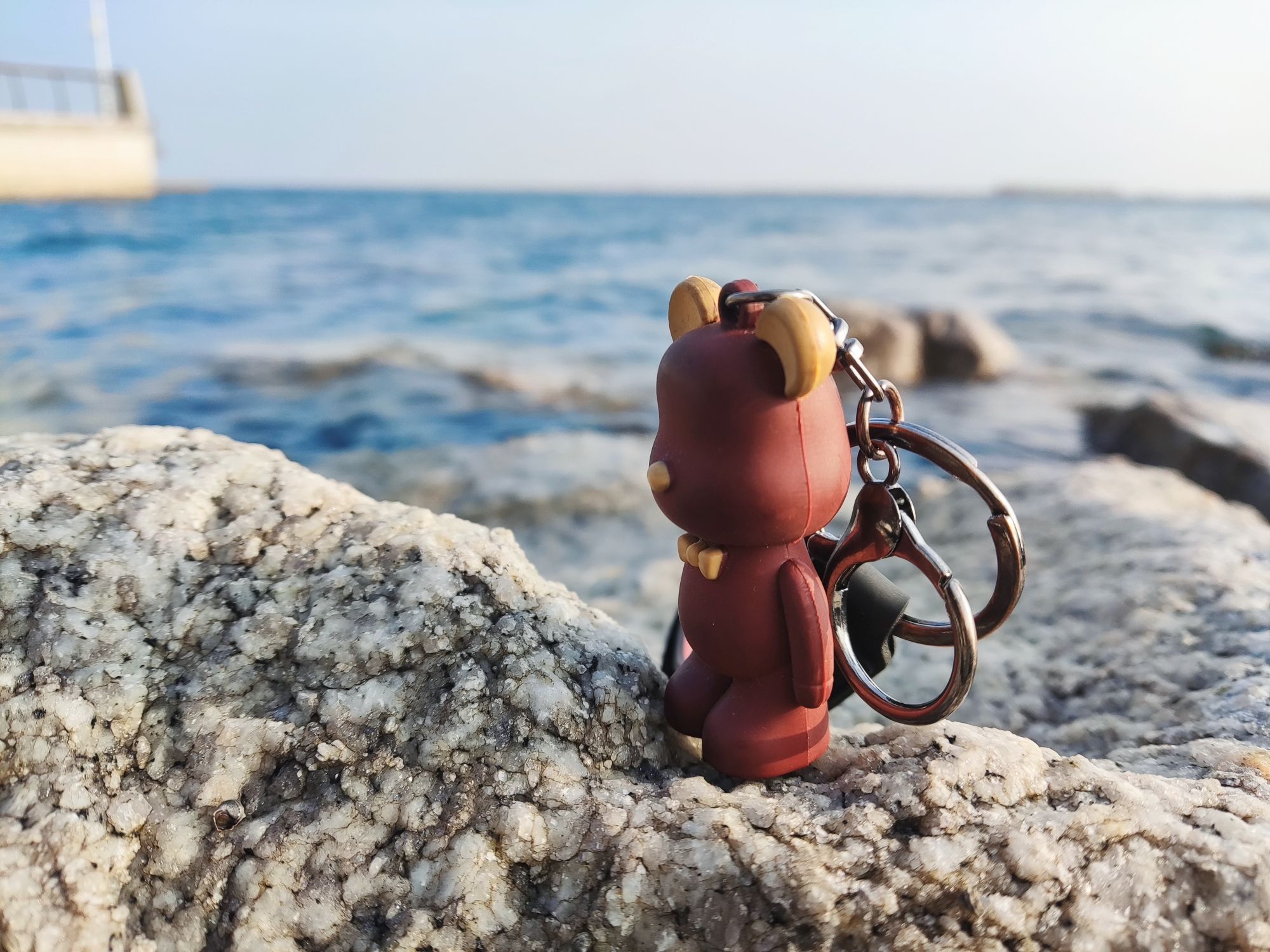 天津临港海岸线公园旅行图片 1