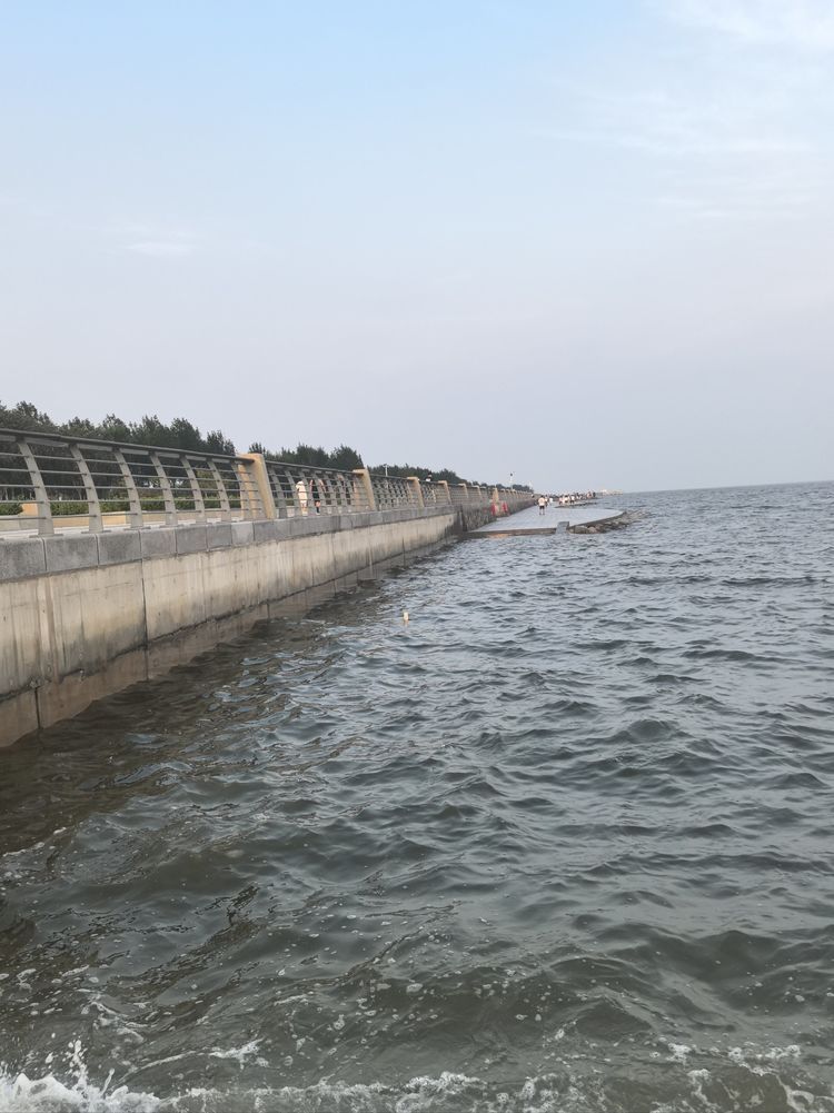 天津临港海岸线公园旅行图片 1