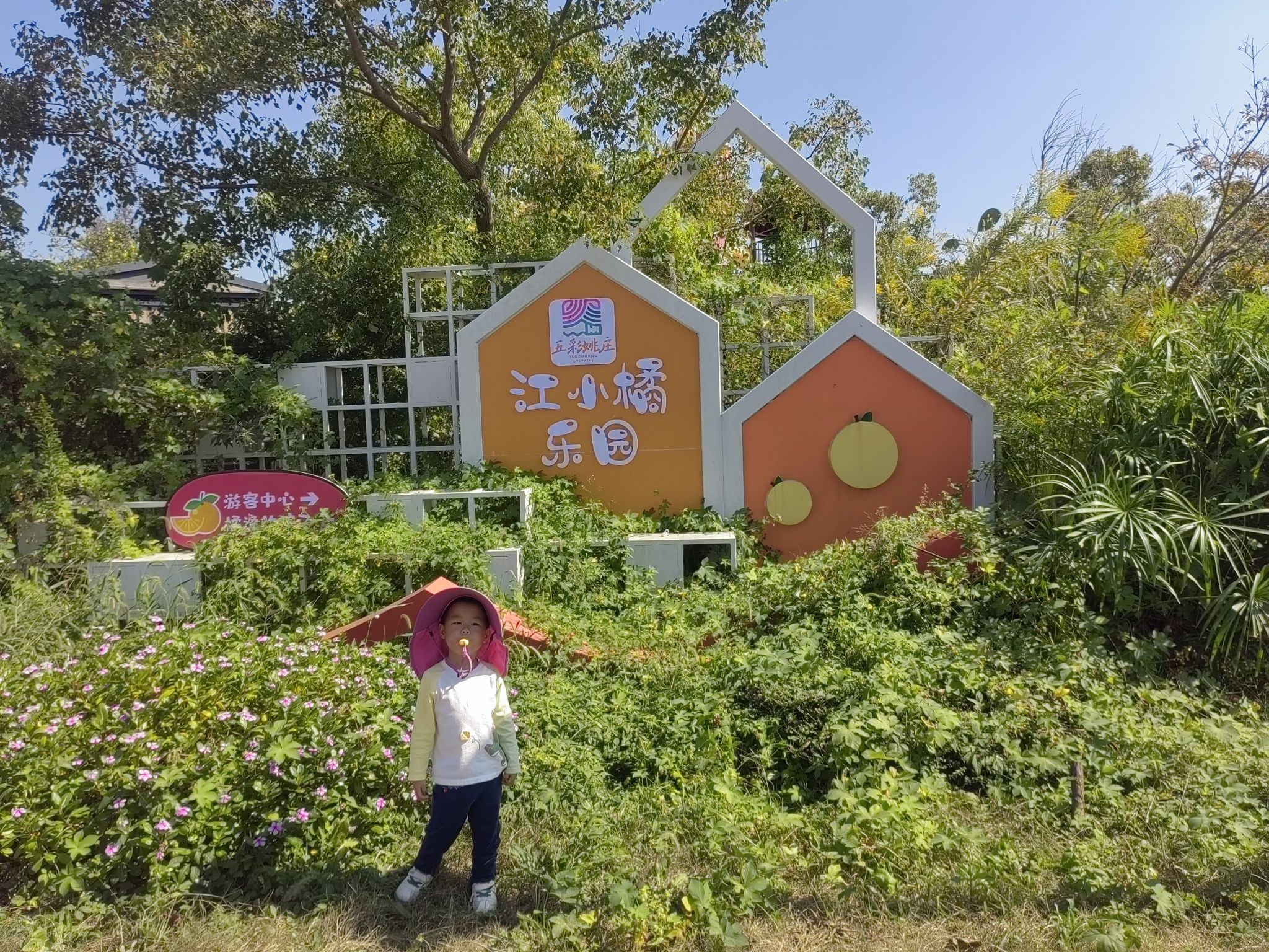 江小橘儿童乐园
