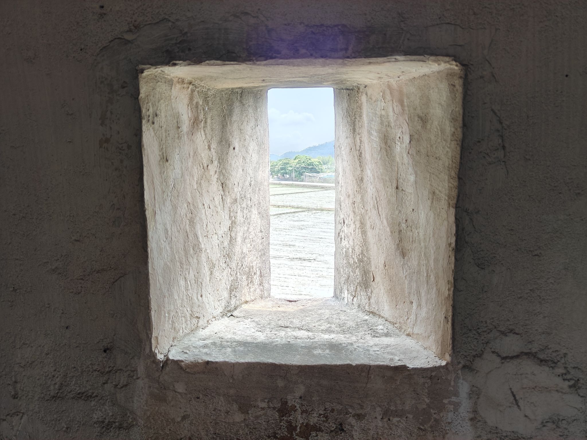 财星阁旅行图片 3
