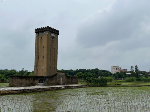 财星阁旅行图片 1
