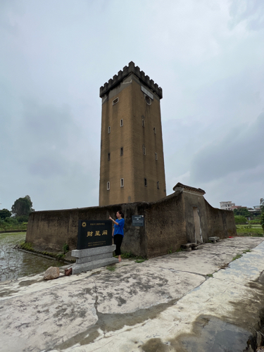 财星阁旅行图片 2