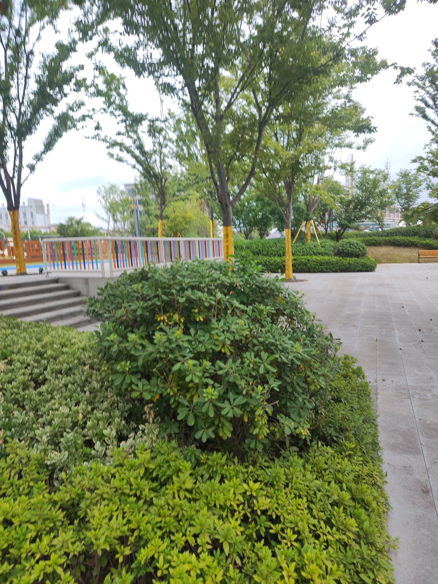 绿创中心公园旅行图片 3