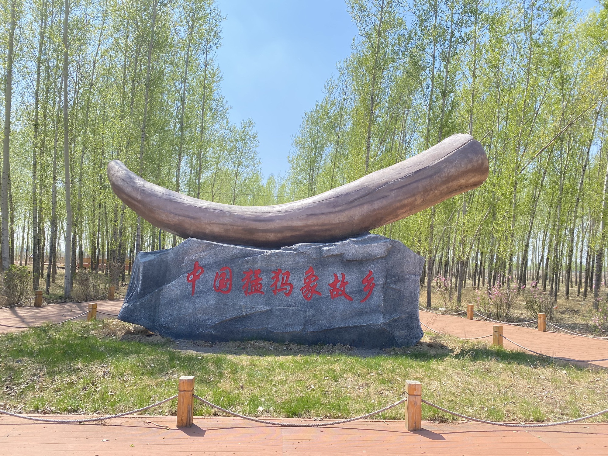 猛犸象地质公园