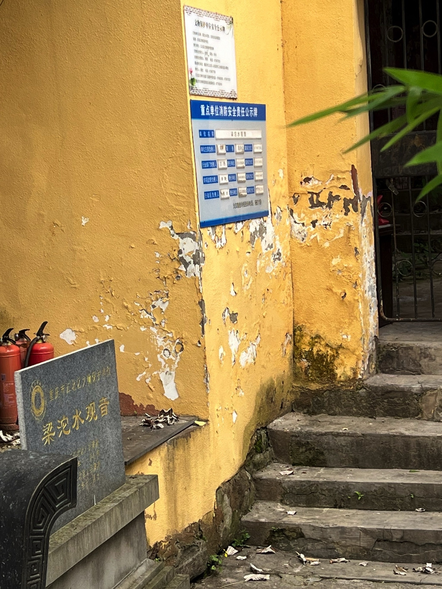 梁沱水观音旅行图片 1