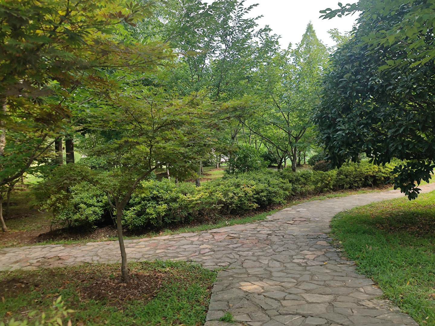 凤凰城公园-南广场