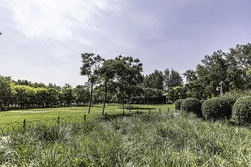 森林公园旅行图片 3