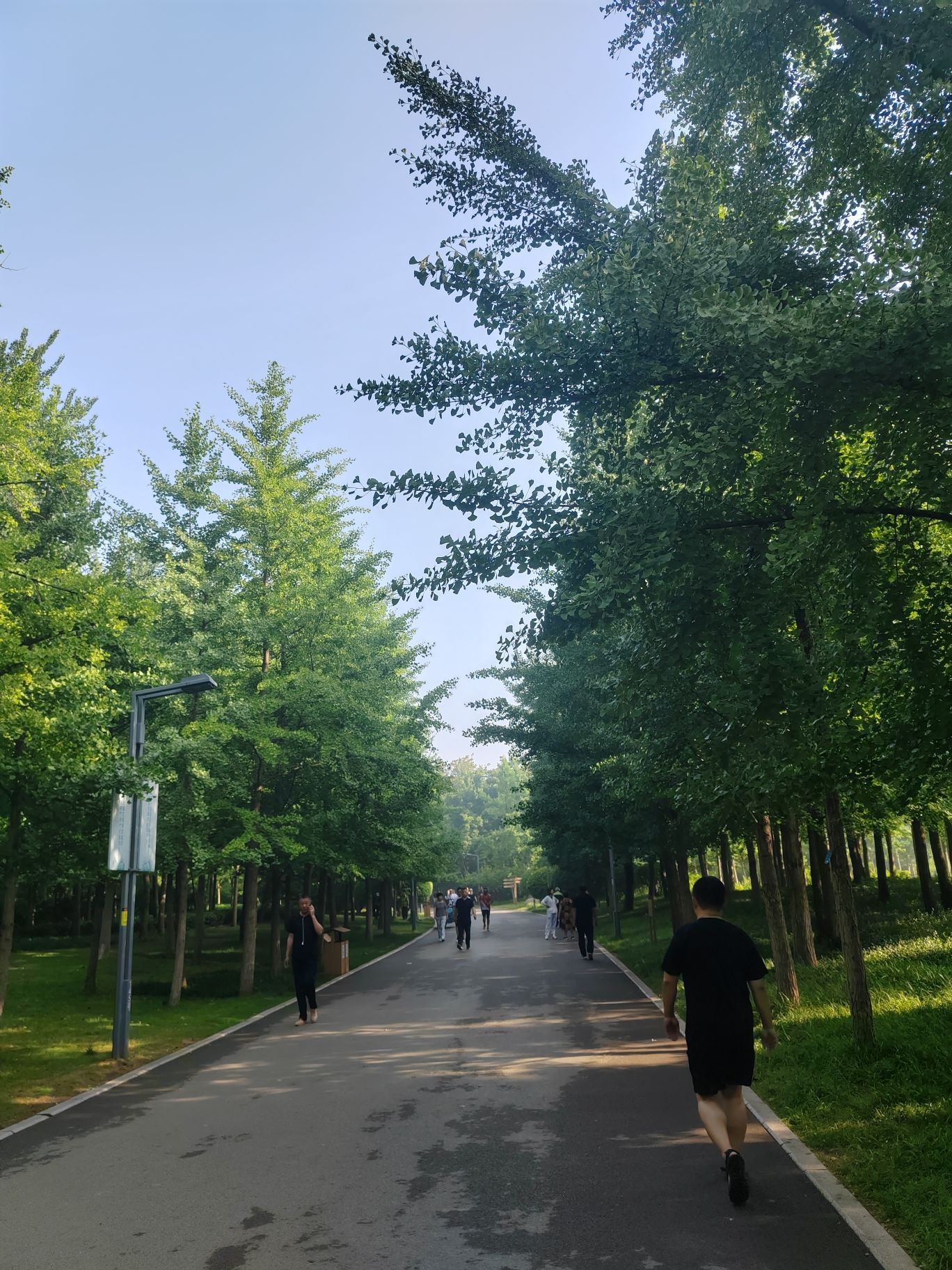 森林公园旅行图片 2