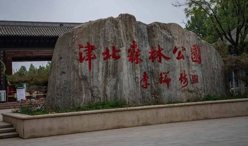 森林公园旅行图片 1