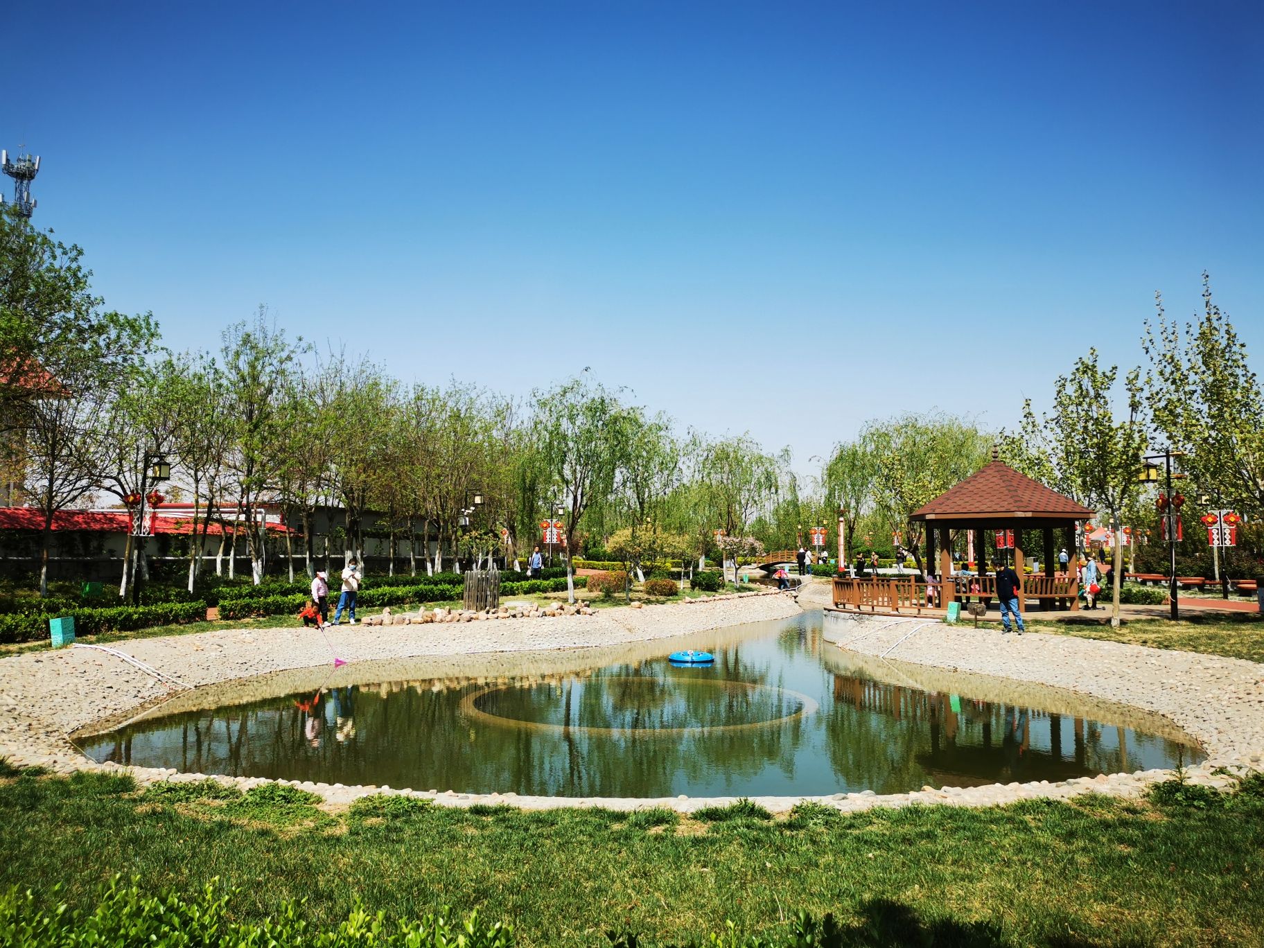 森林公园旅行图片 1