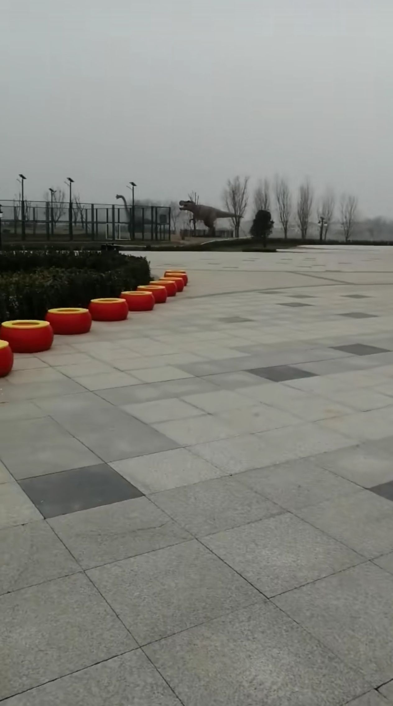 夏邑大鼓水上乐园旅行图片 3