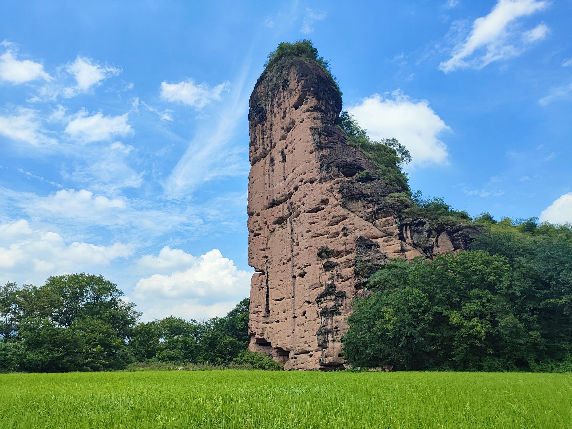 金枪峰旅行图片 1
