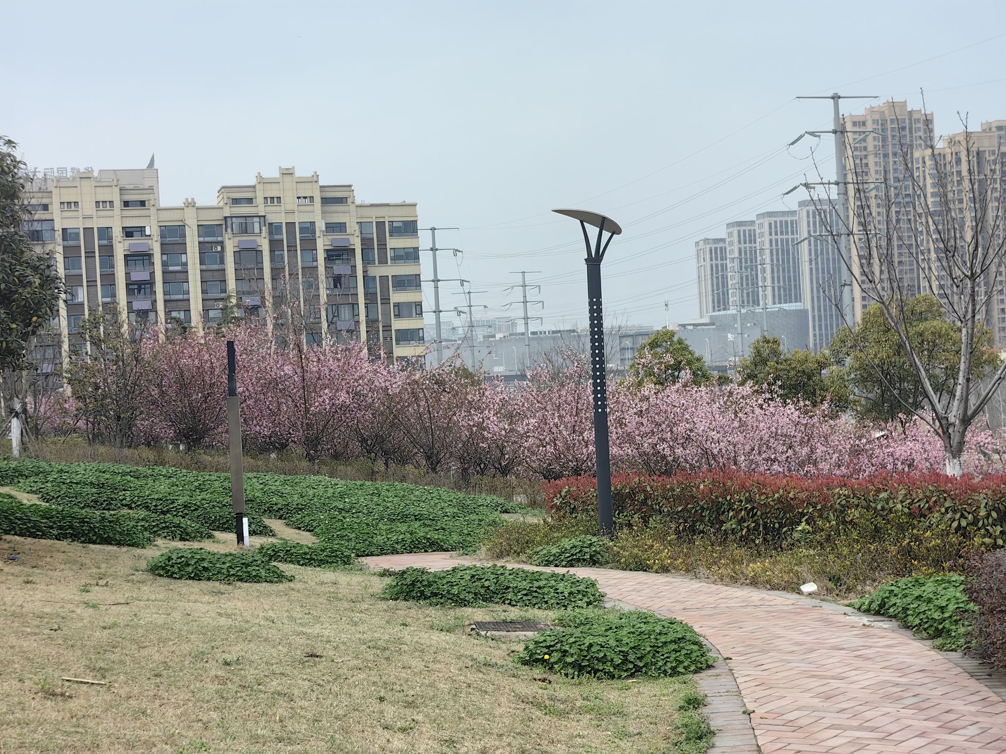 华盛公园旅行图片 3