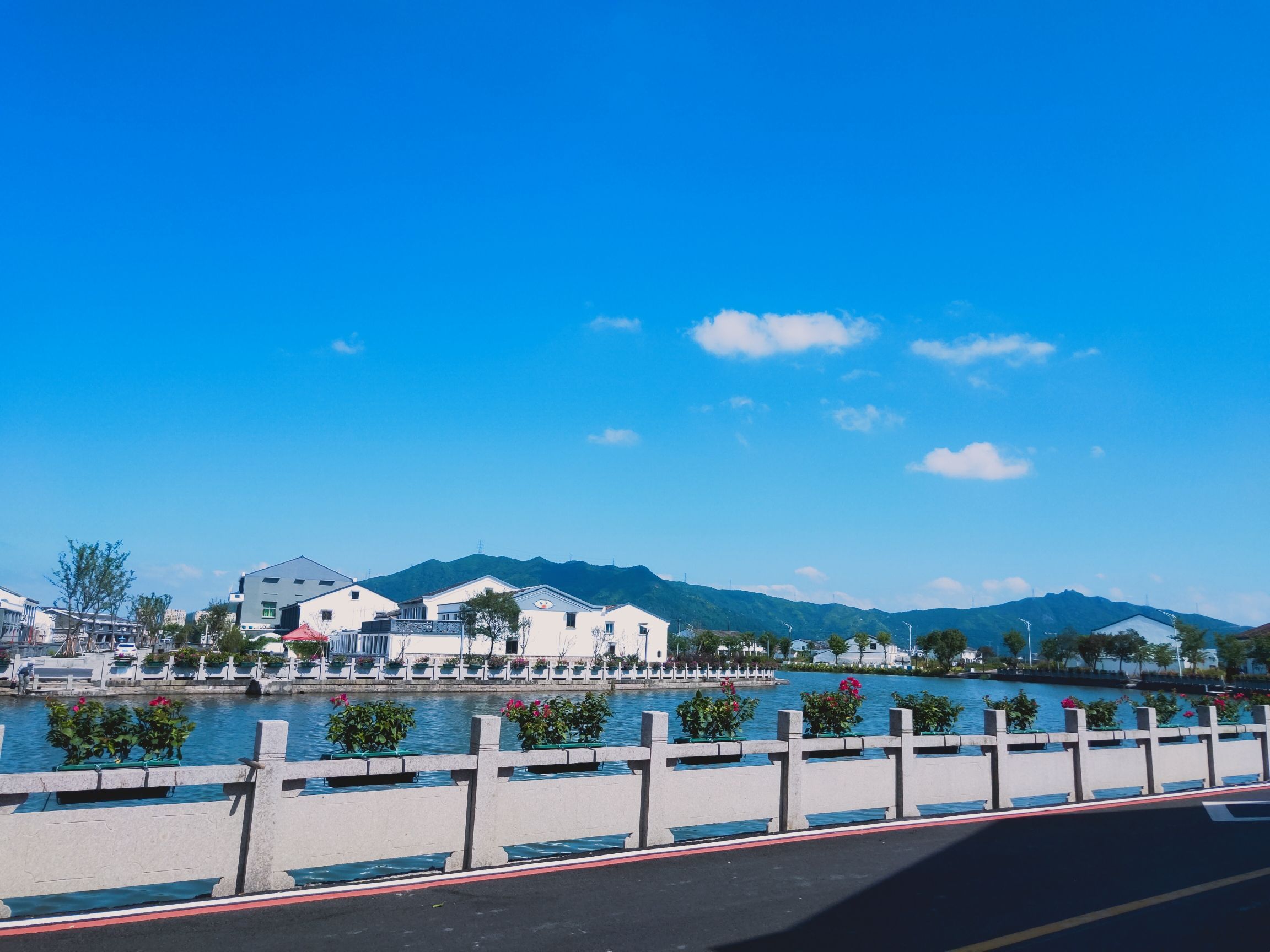 龙港市九龙河生态公园旅行图片 2