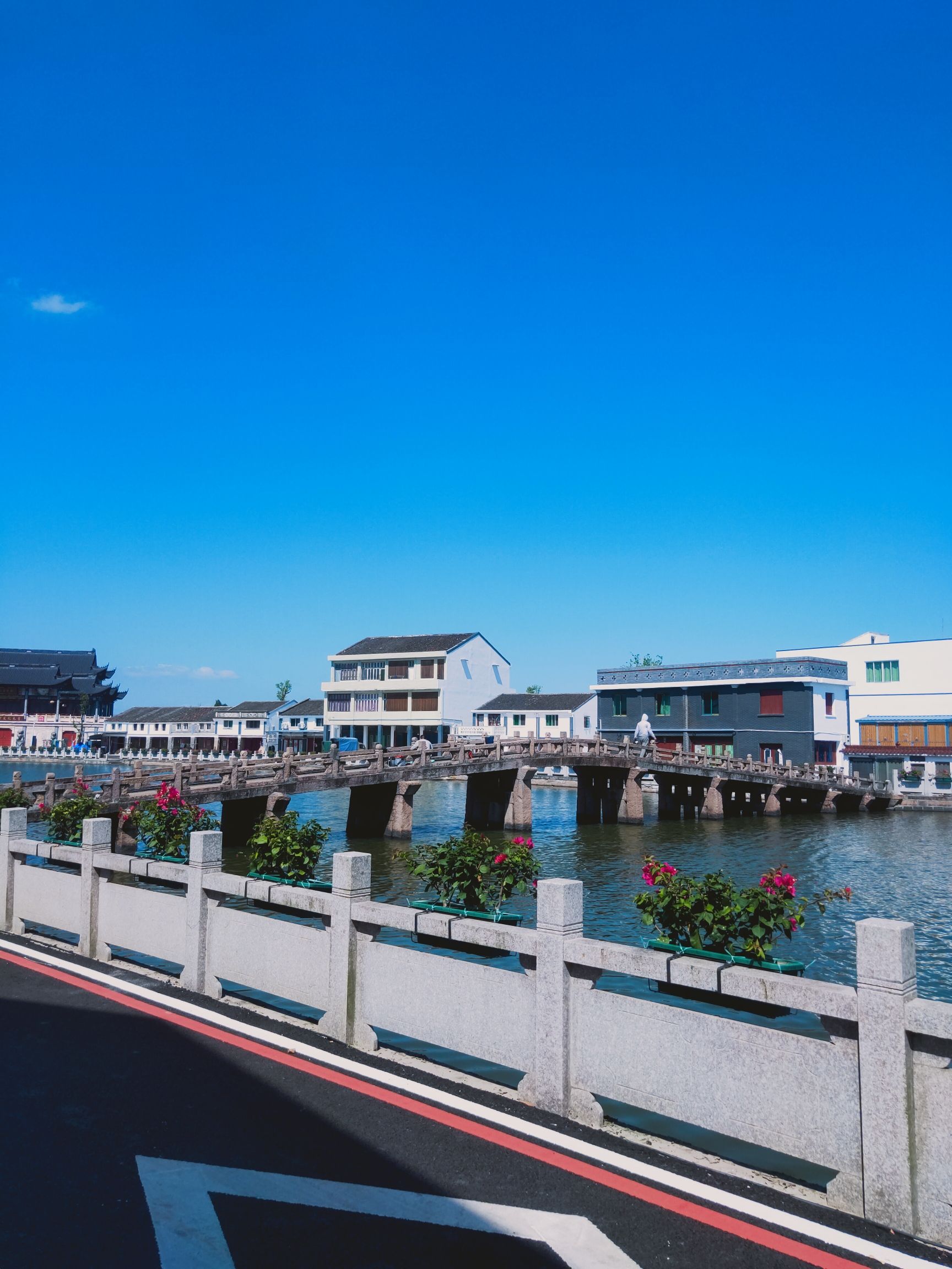龙港市九龙河生态公园旅行图片 1