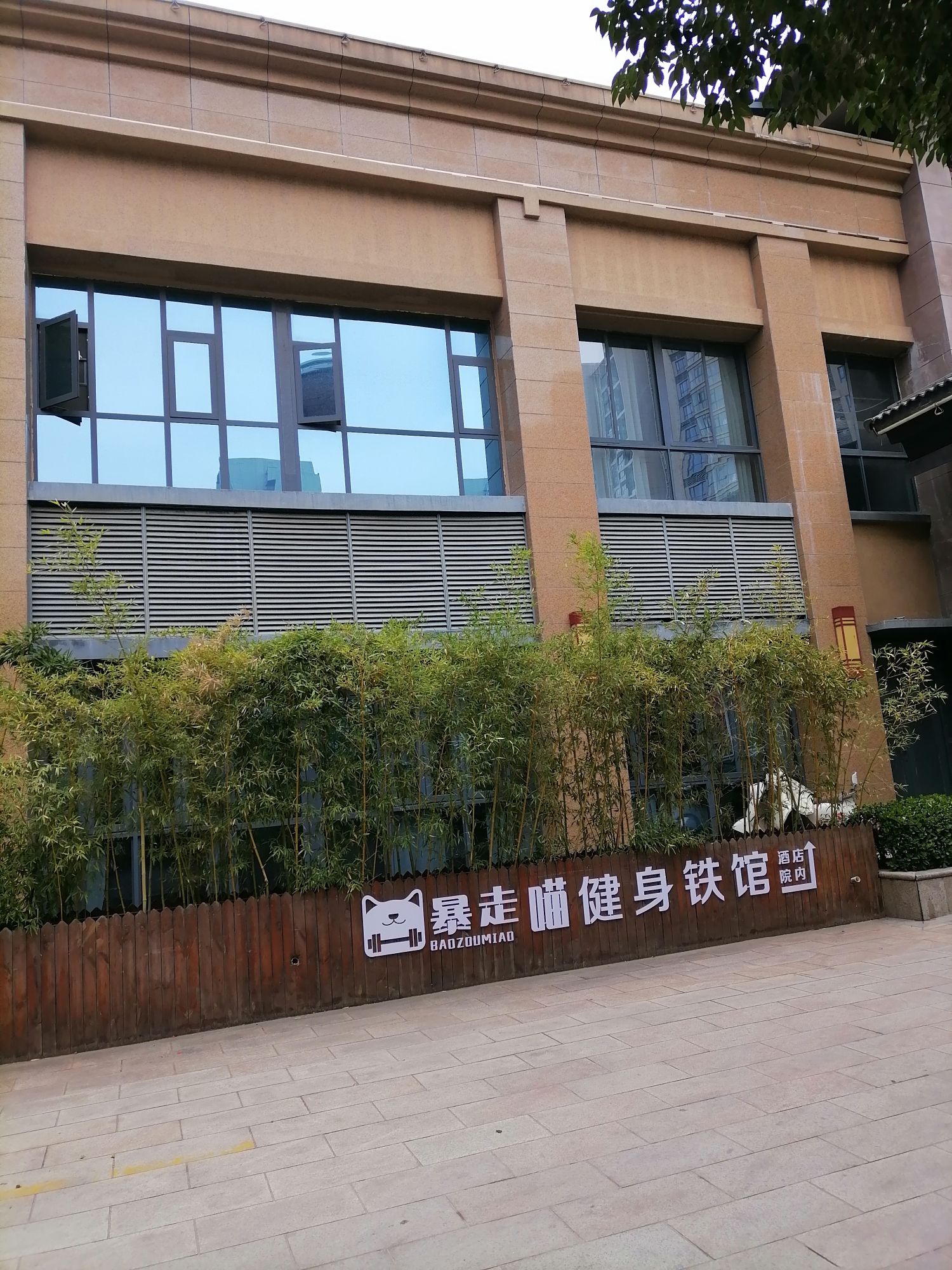暴走喵健身(综合铁馆)