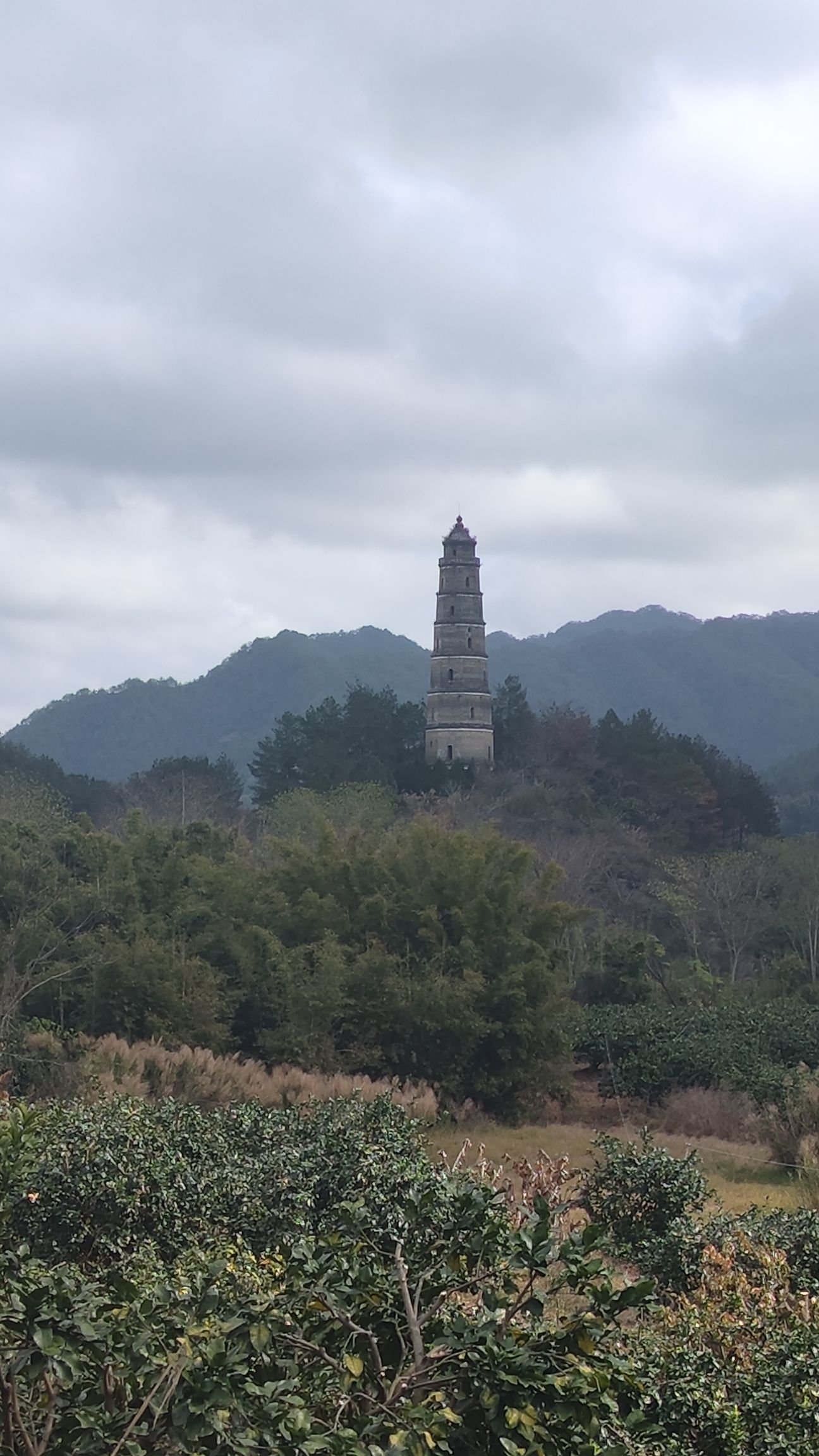 元魁塔旅行图片 3