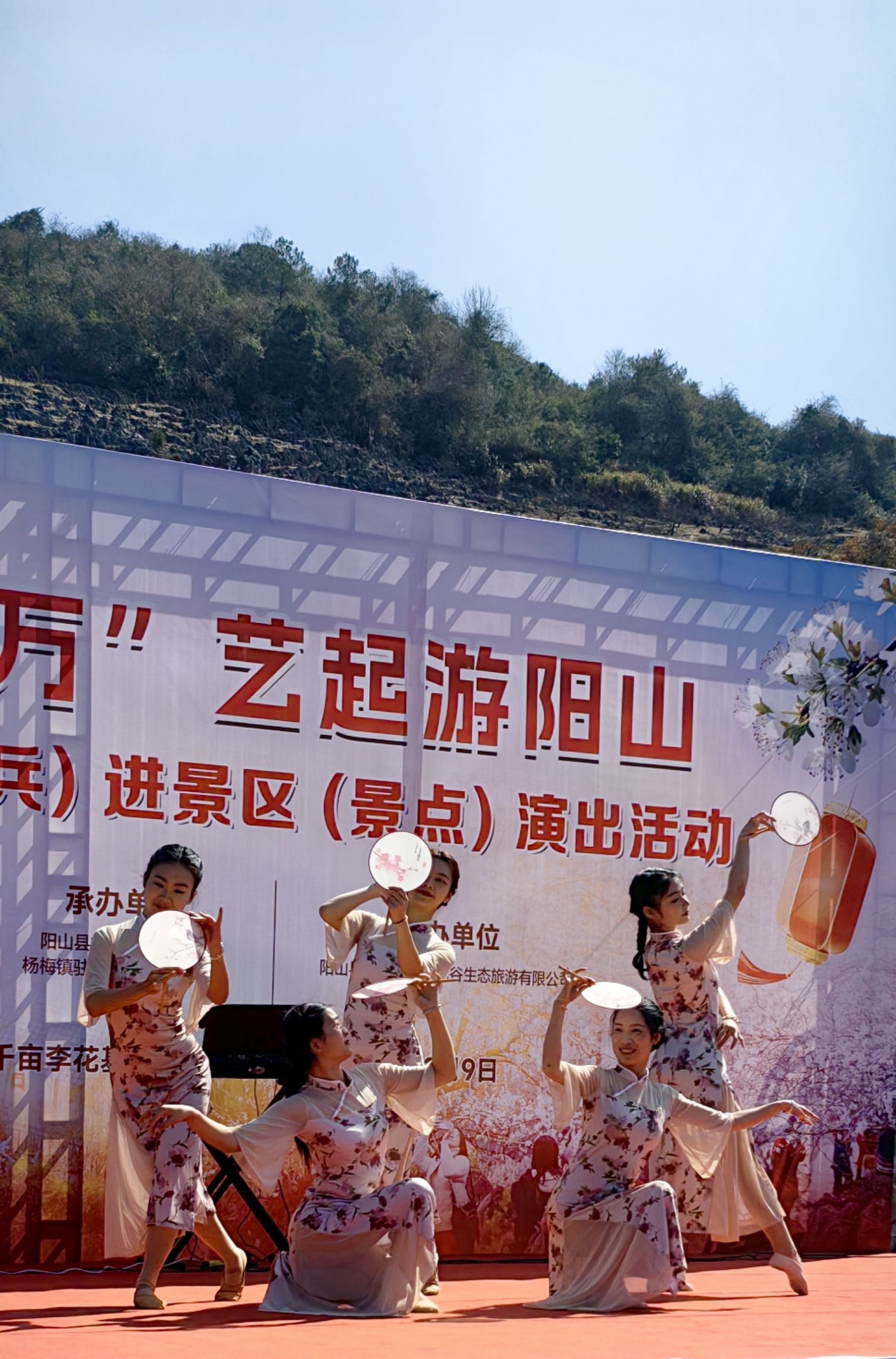 千亩李花基地旅行图片 1