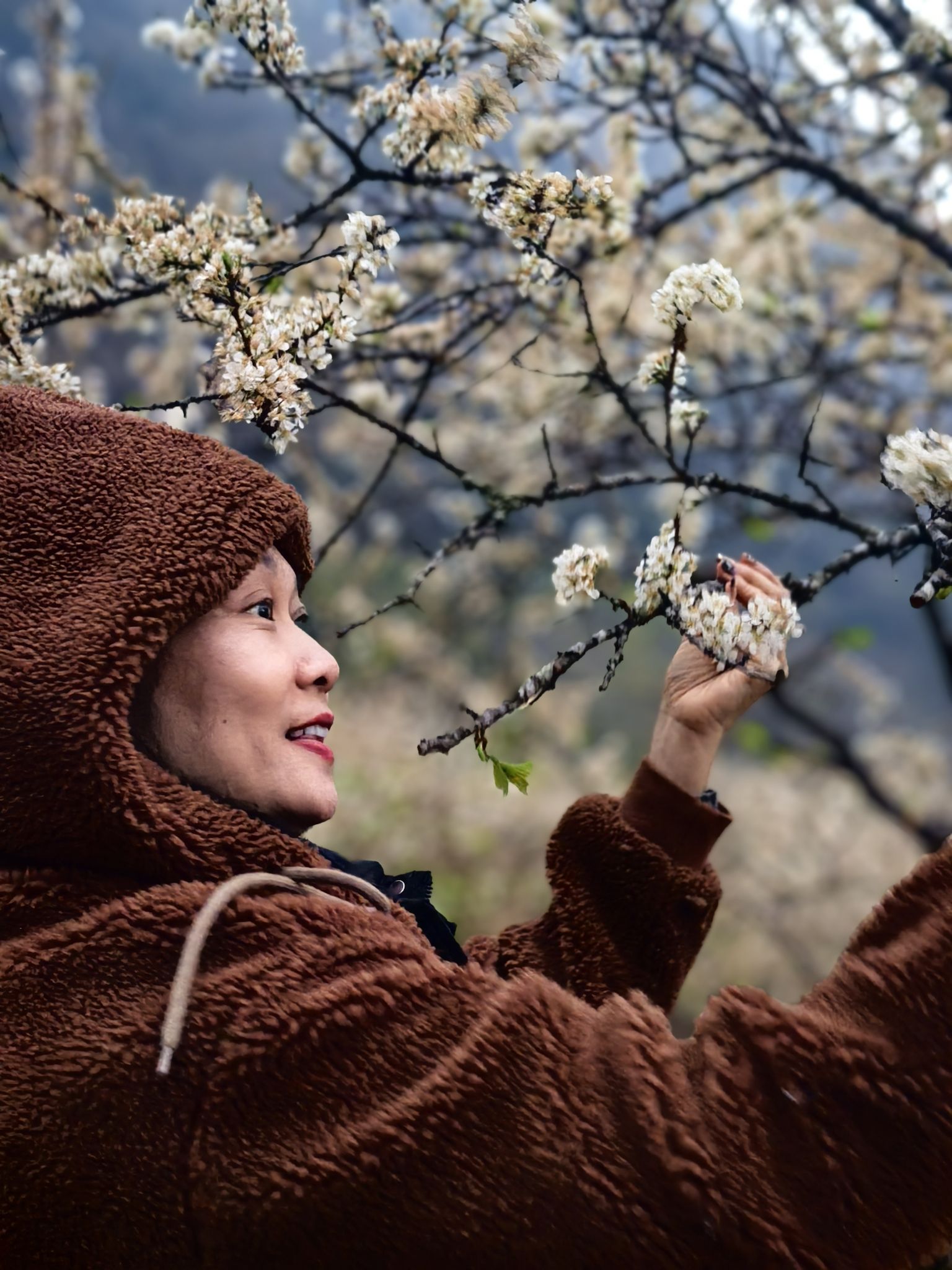 千亩李花基地旅行图片 2