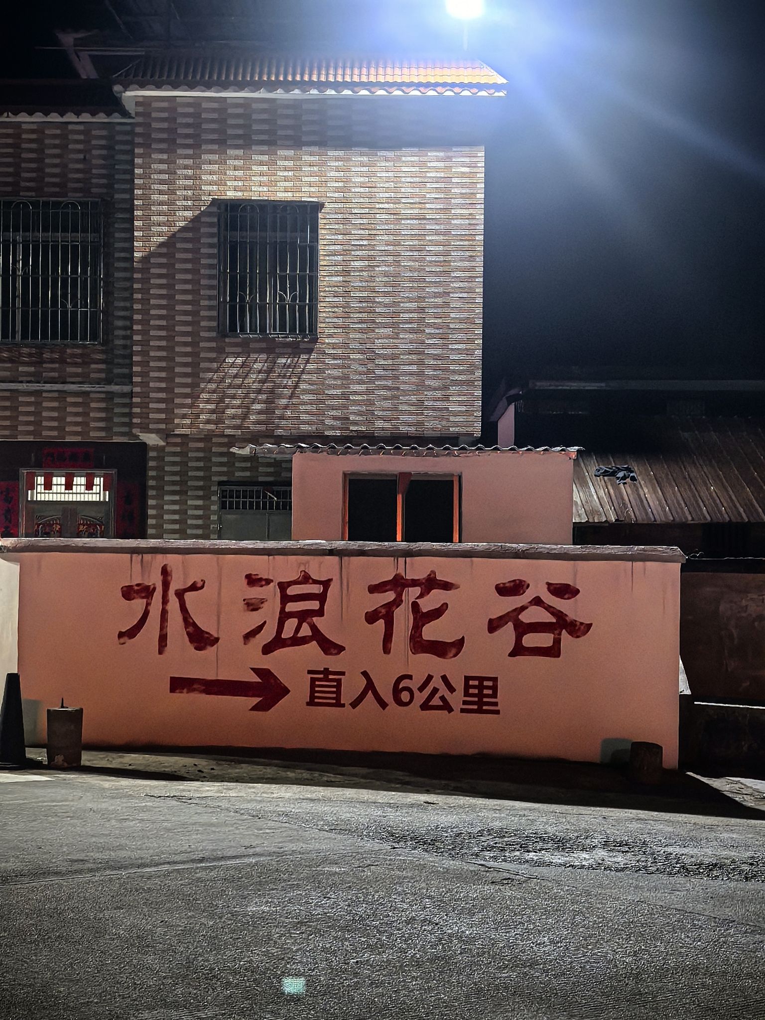 千亩李花基地旅行图片 3