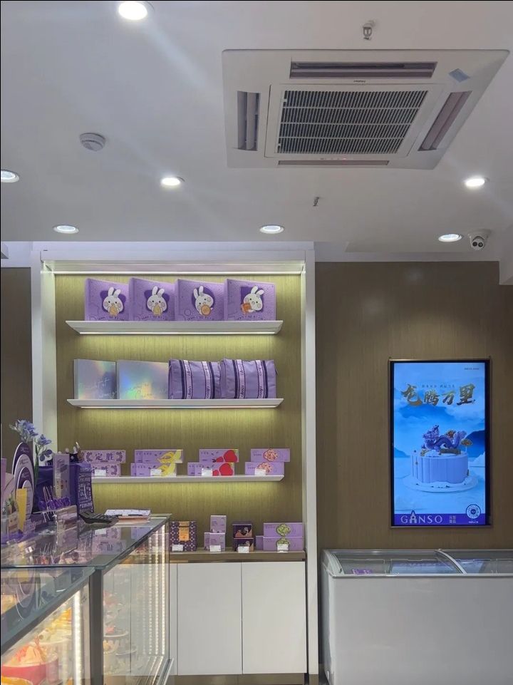 GANSO元祖食品(湖州凤凰店)