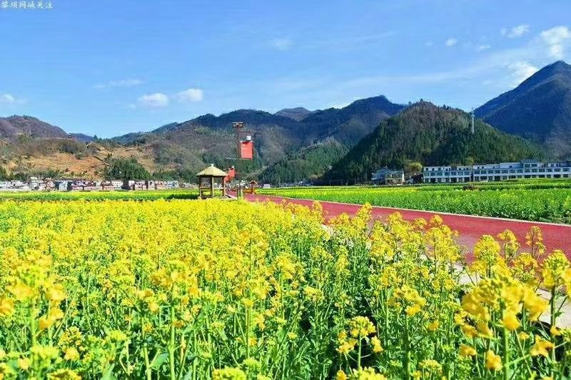 诗酒田园·养心黎坝
