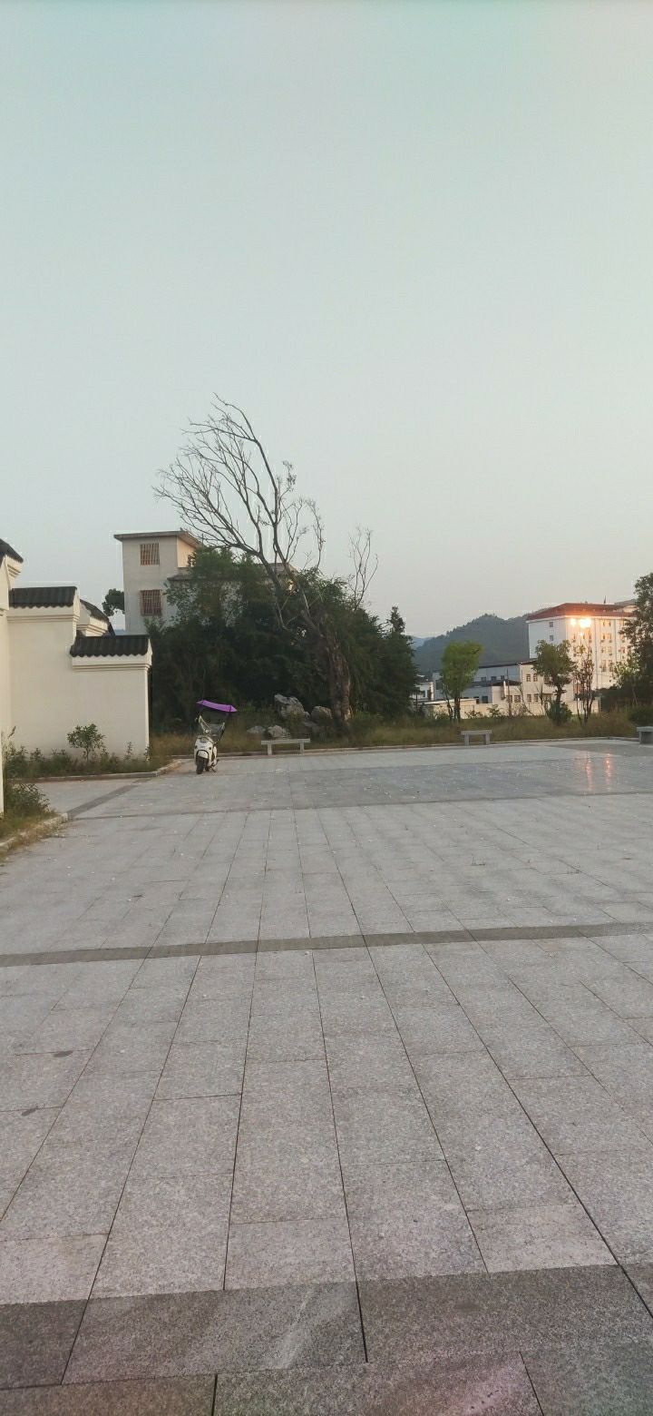 古陂镇东山书院旅行图片 2