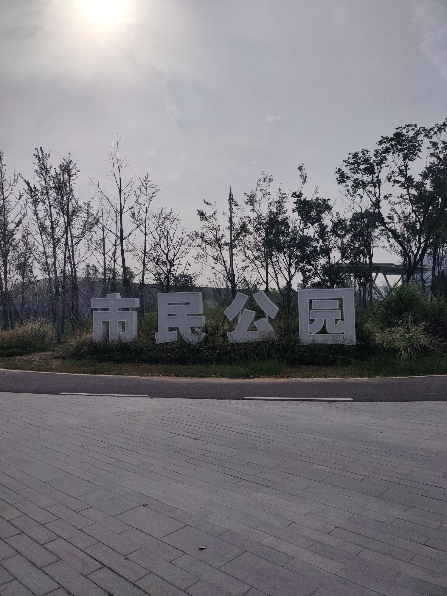 齐河市民公园旅行图片 1