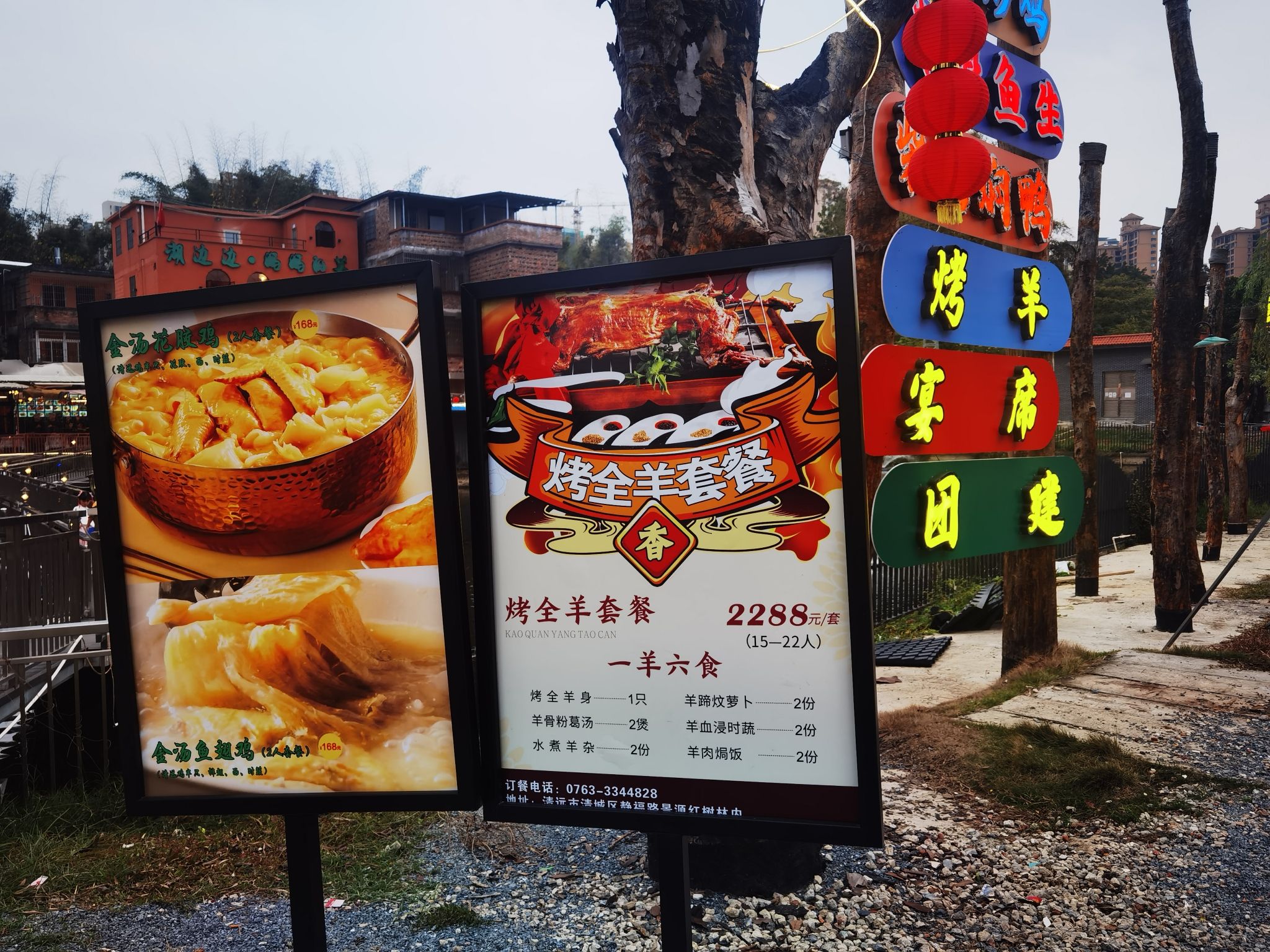 景源红树林旅行图片 2