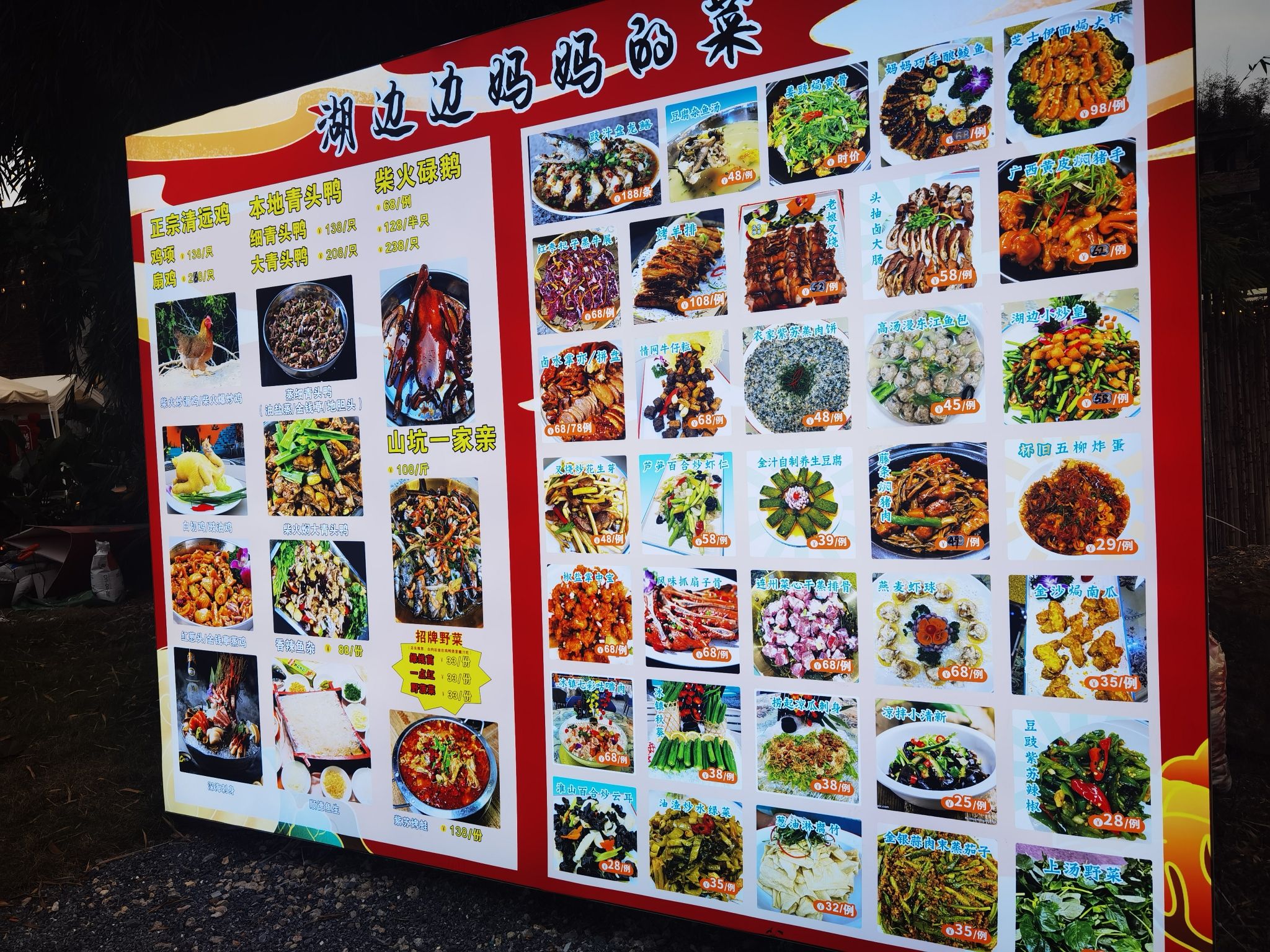 景源红树林旅行图片 3