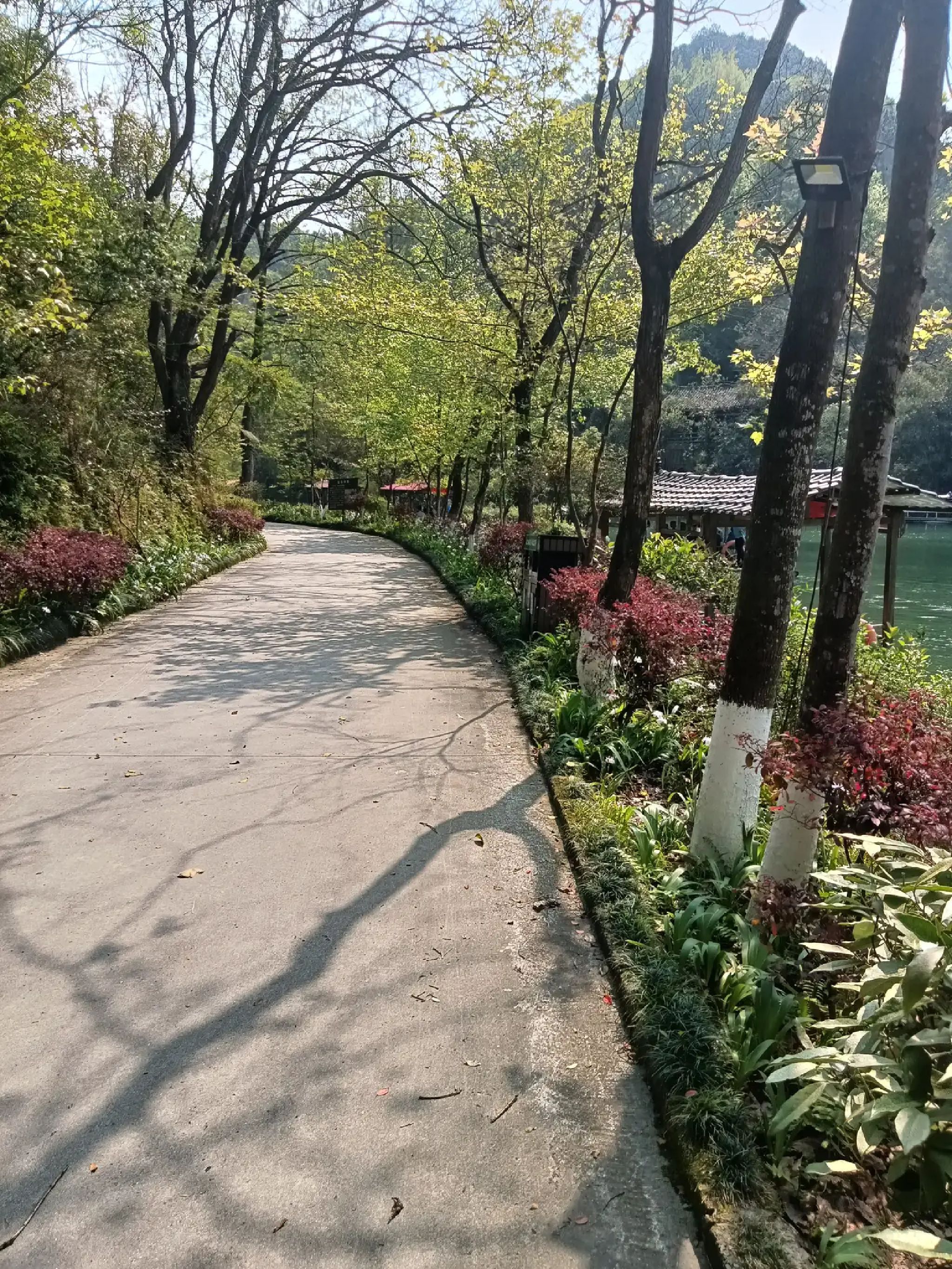 景源红树林旅行图片 1
