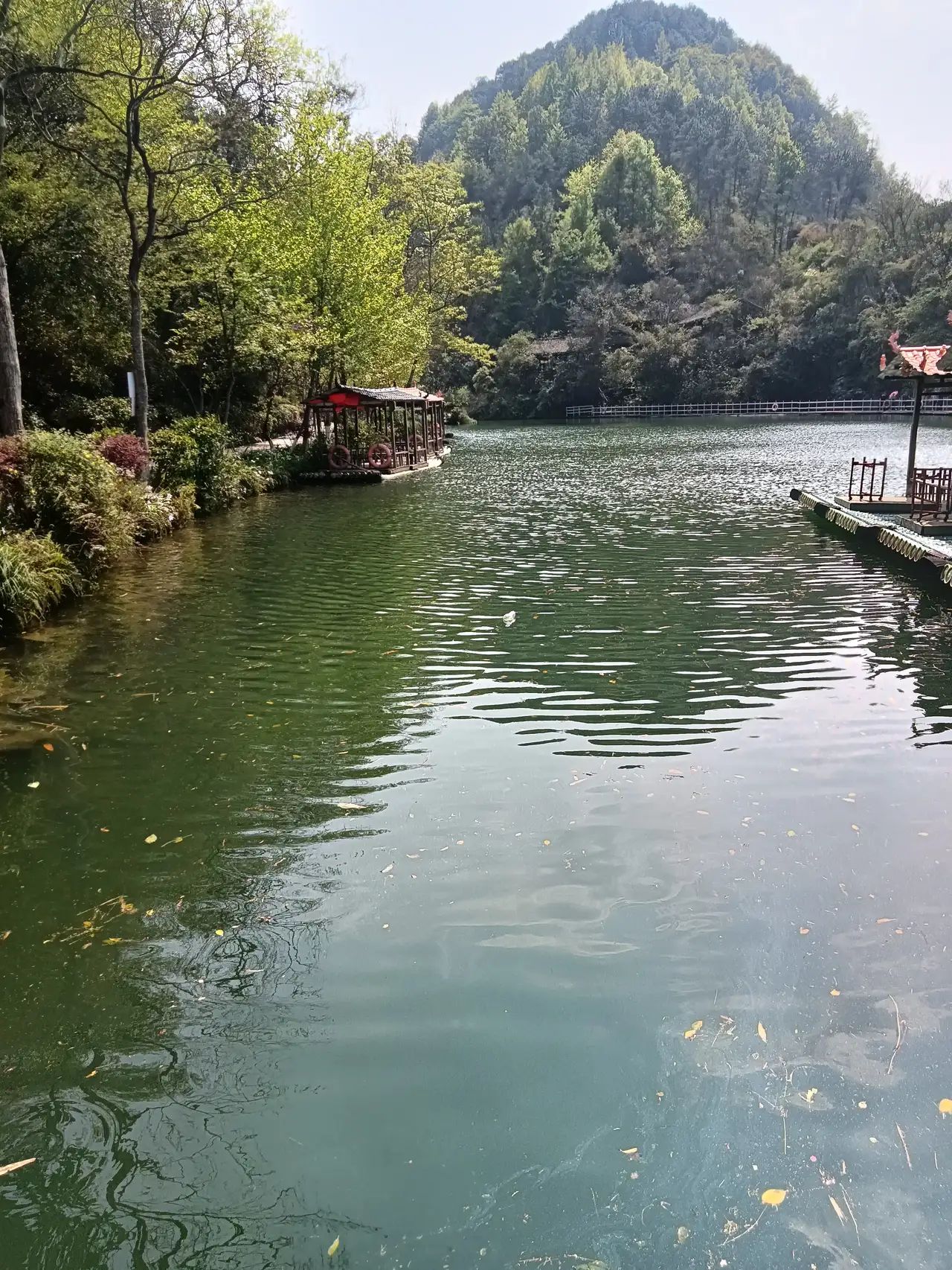 景源红树林旅行图片 3