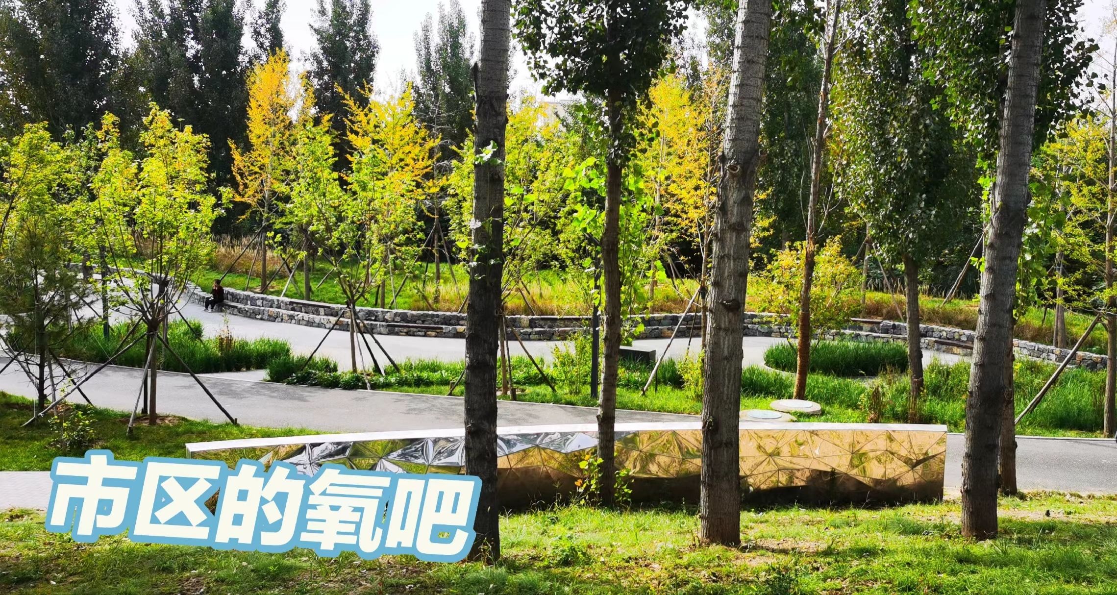 净德寺遗址公园旅行图片 3