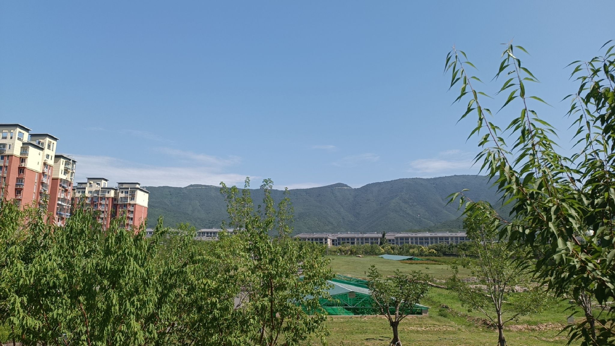 净德寺遗址公园旅行图片 2