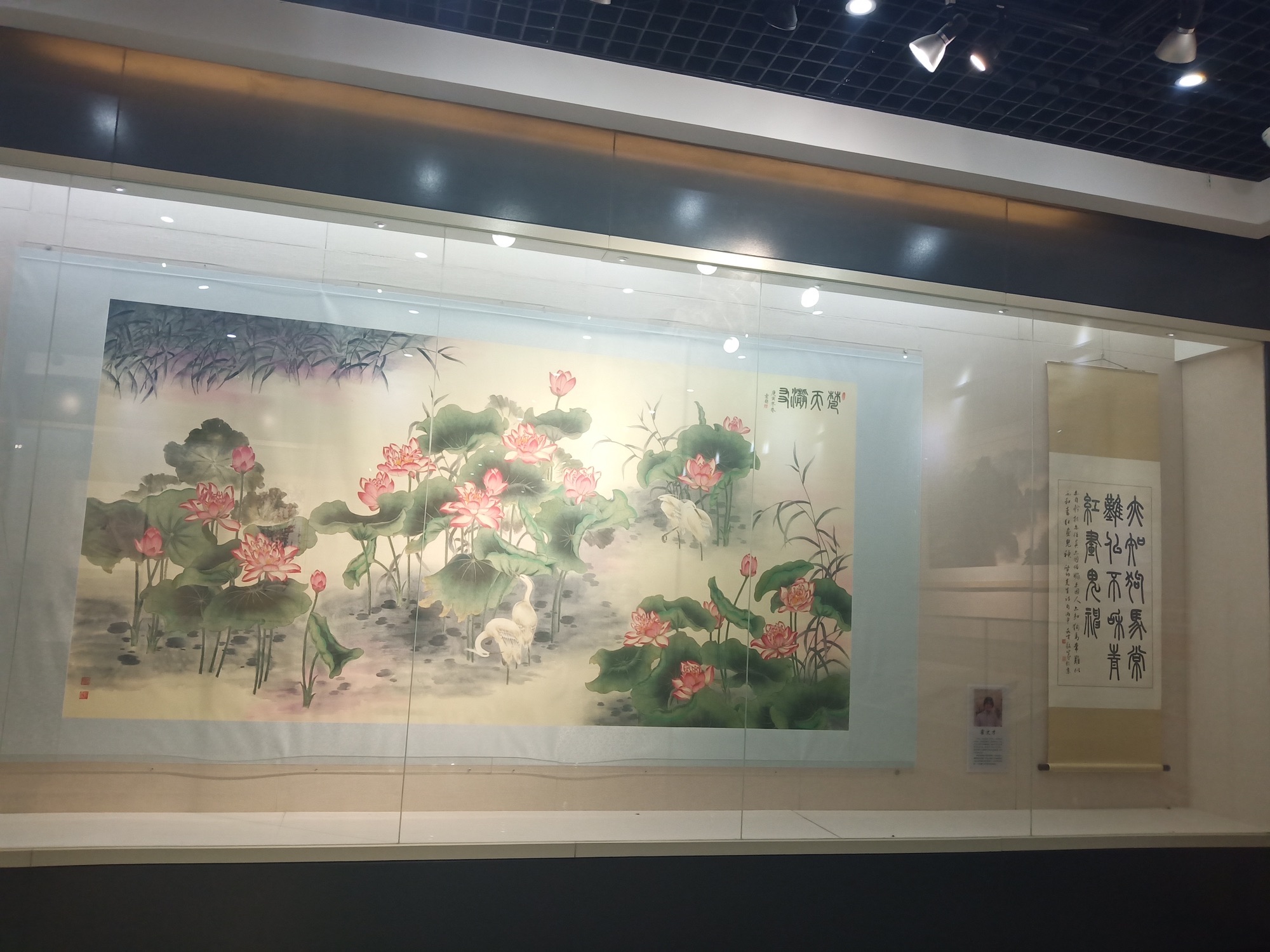 德州市体育公园旅行图片 2