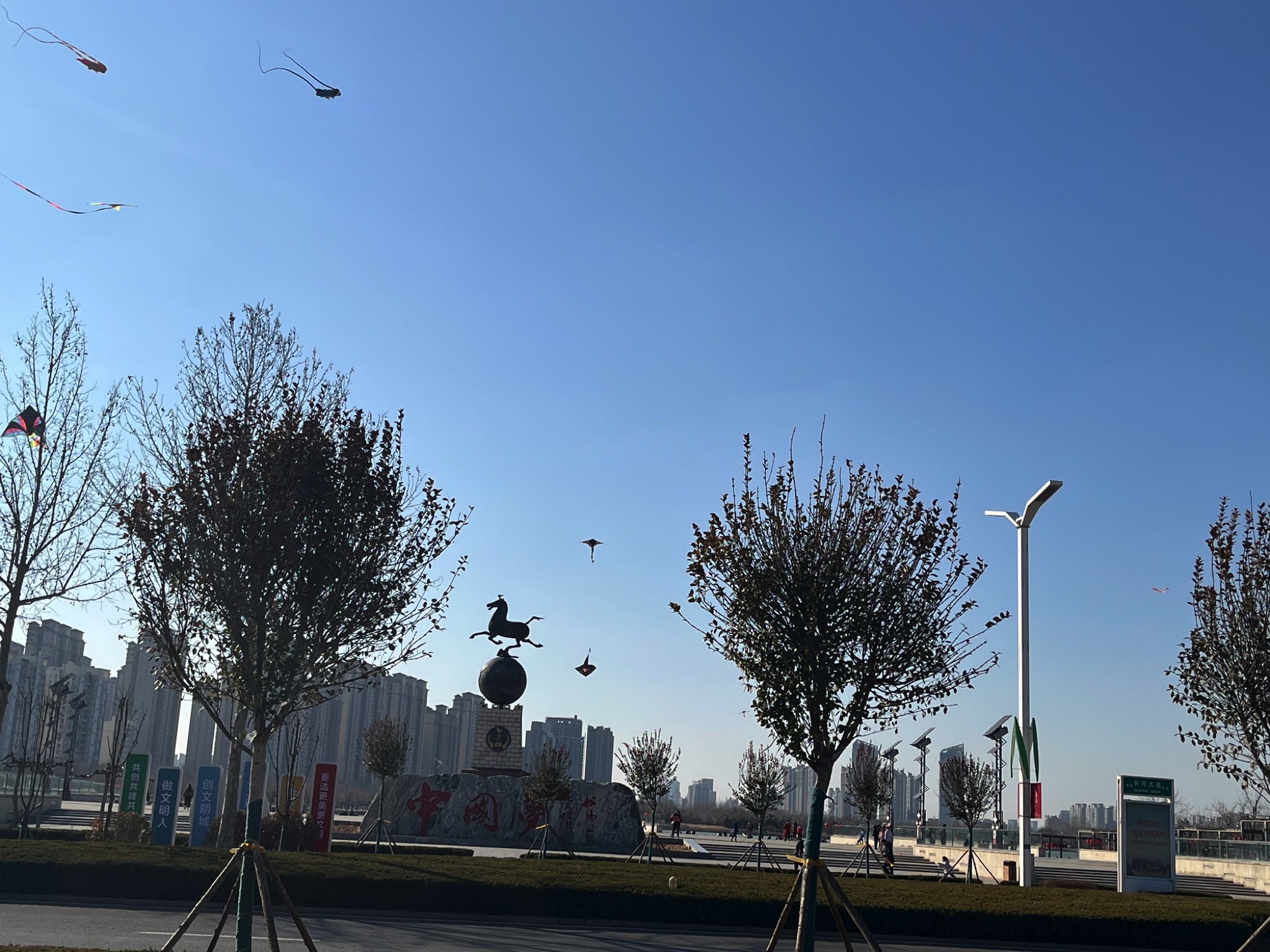 德州市体育公园旅行图片 1