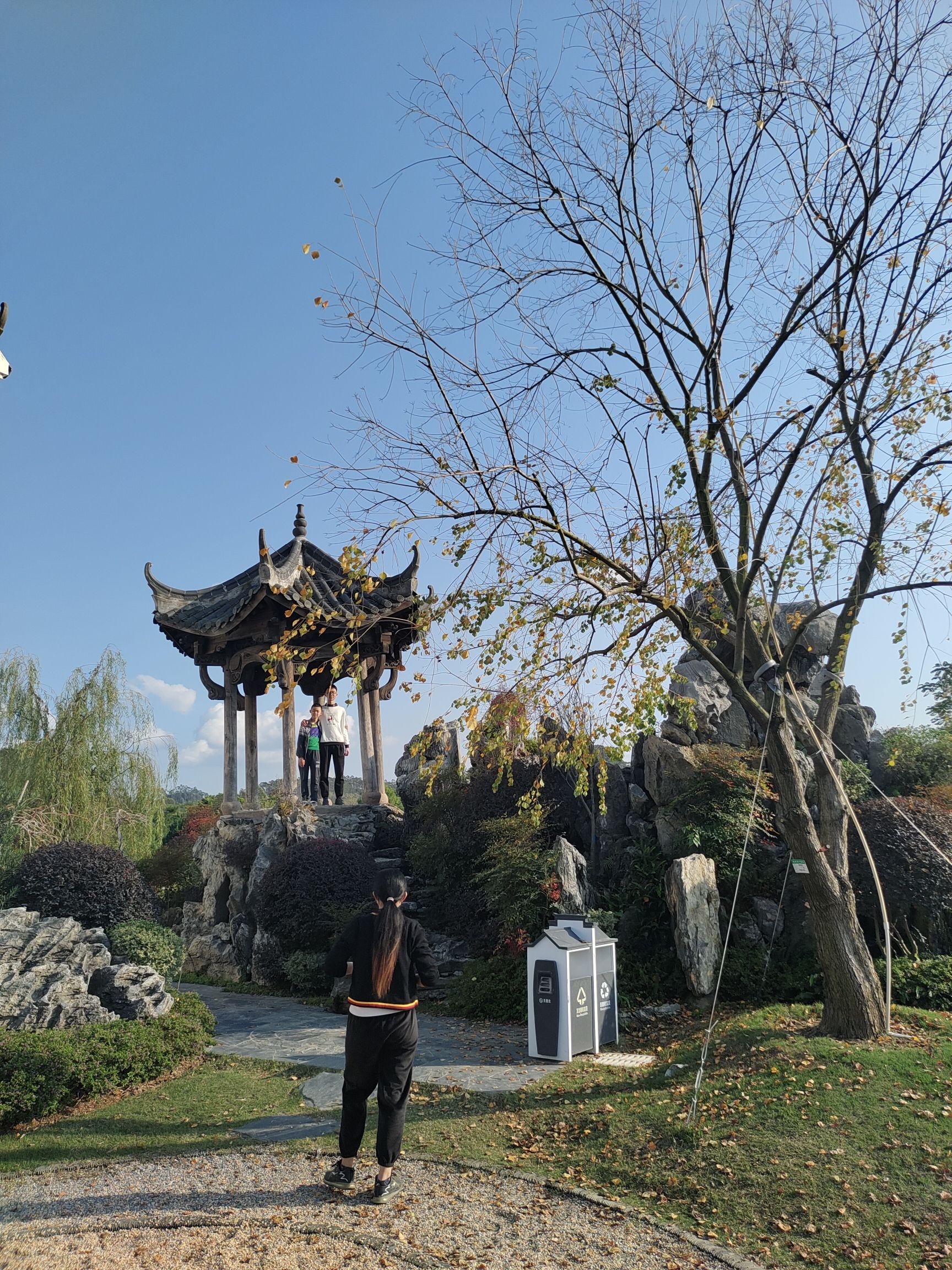 飞霞龙田旅行图片 1
