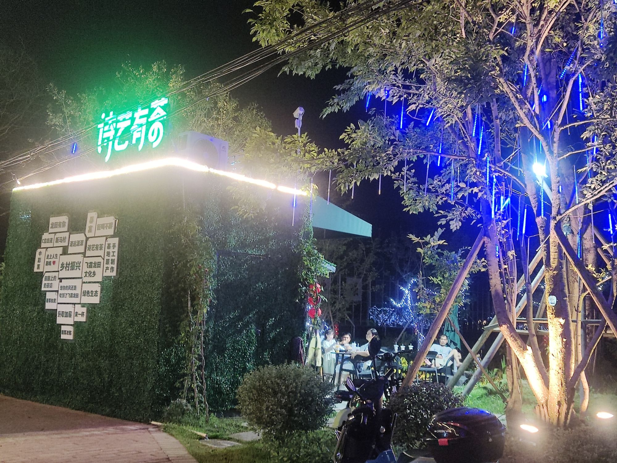 飞霞龙田旅行图片 1