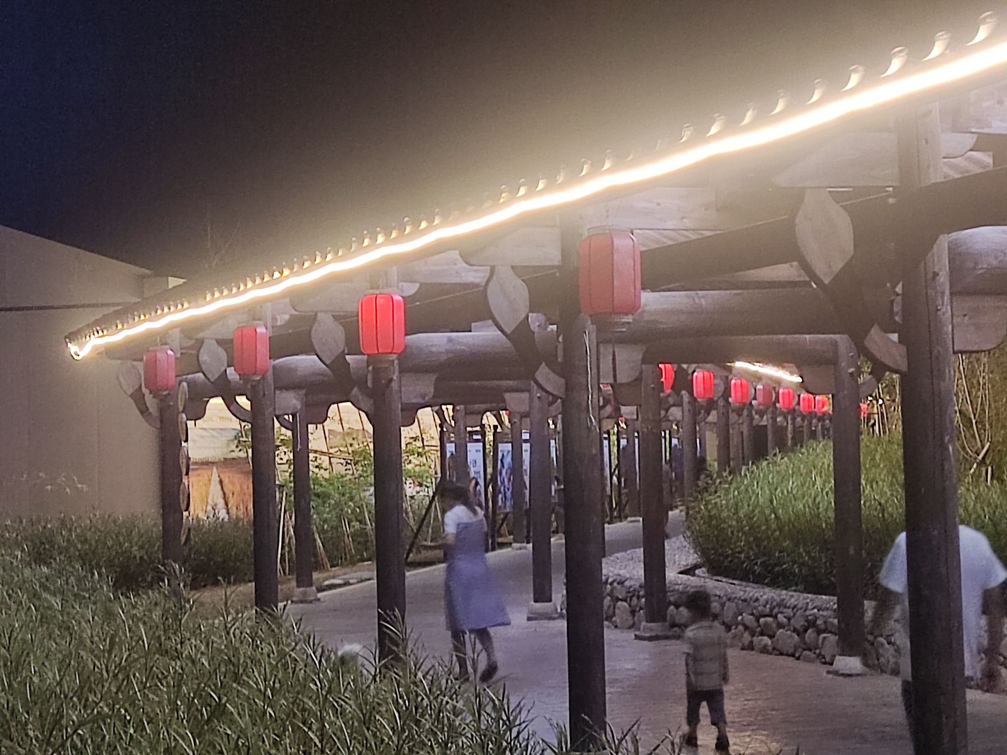 飞霞龙田旅行图片 3