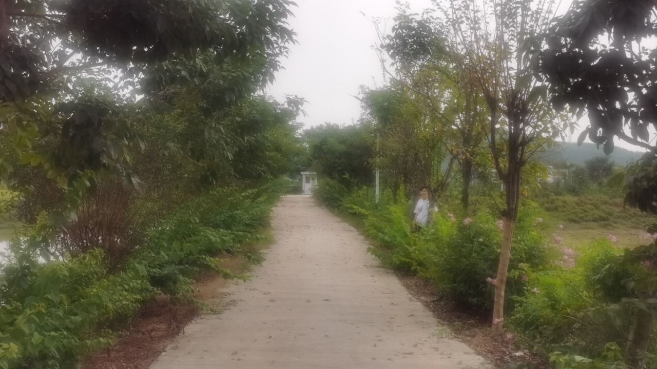 飞霞龙田旅行图片 3