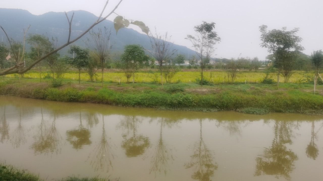飞霞龙田旅行图片 2