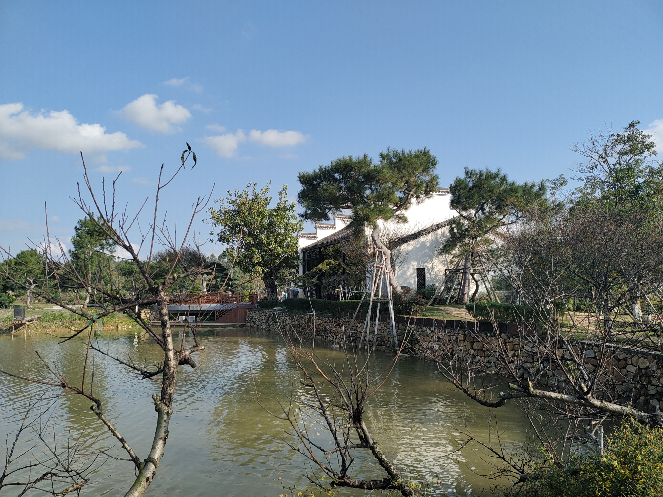 飞霞龙田旅行图片 2