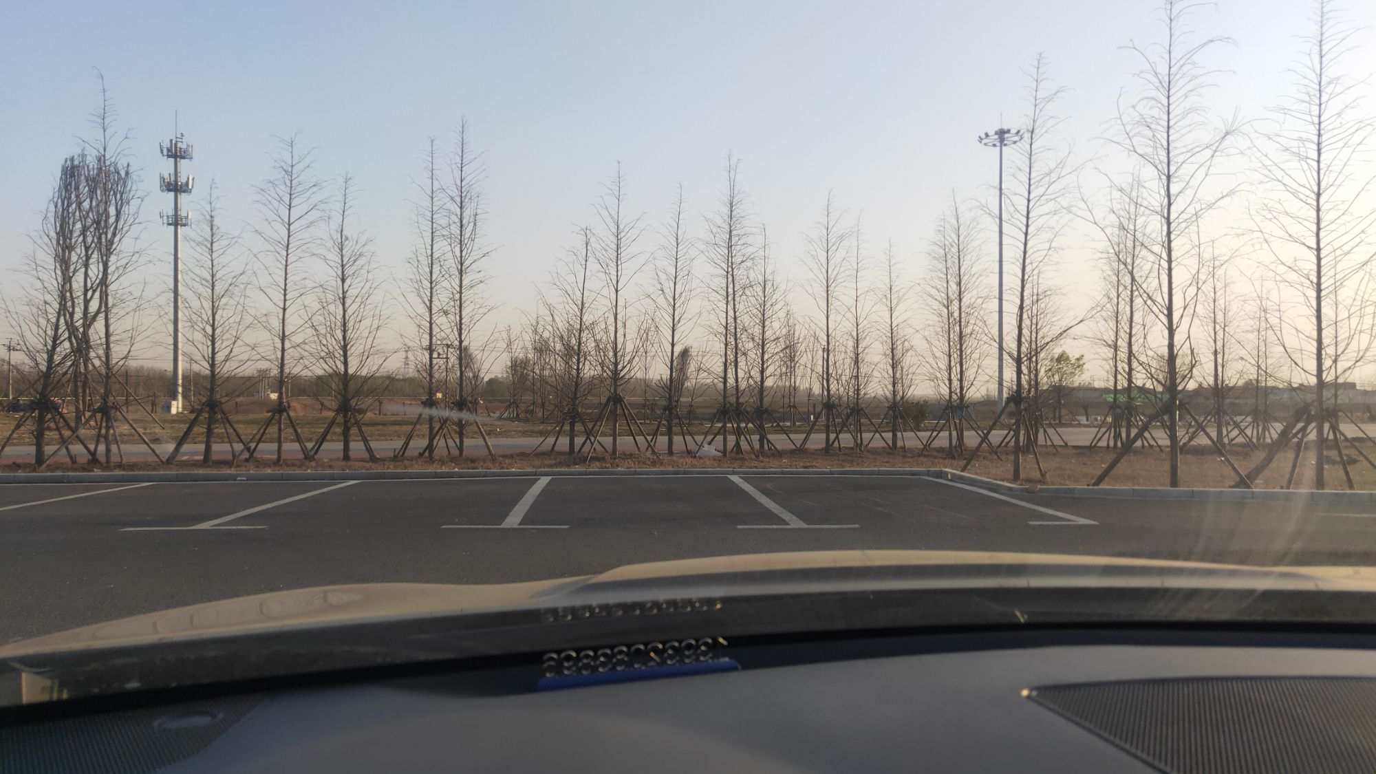 滏阳河生态修复公园旅行图片 2