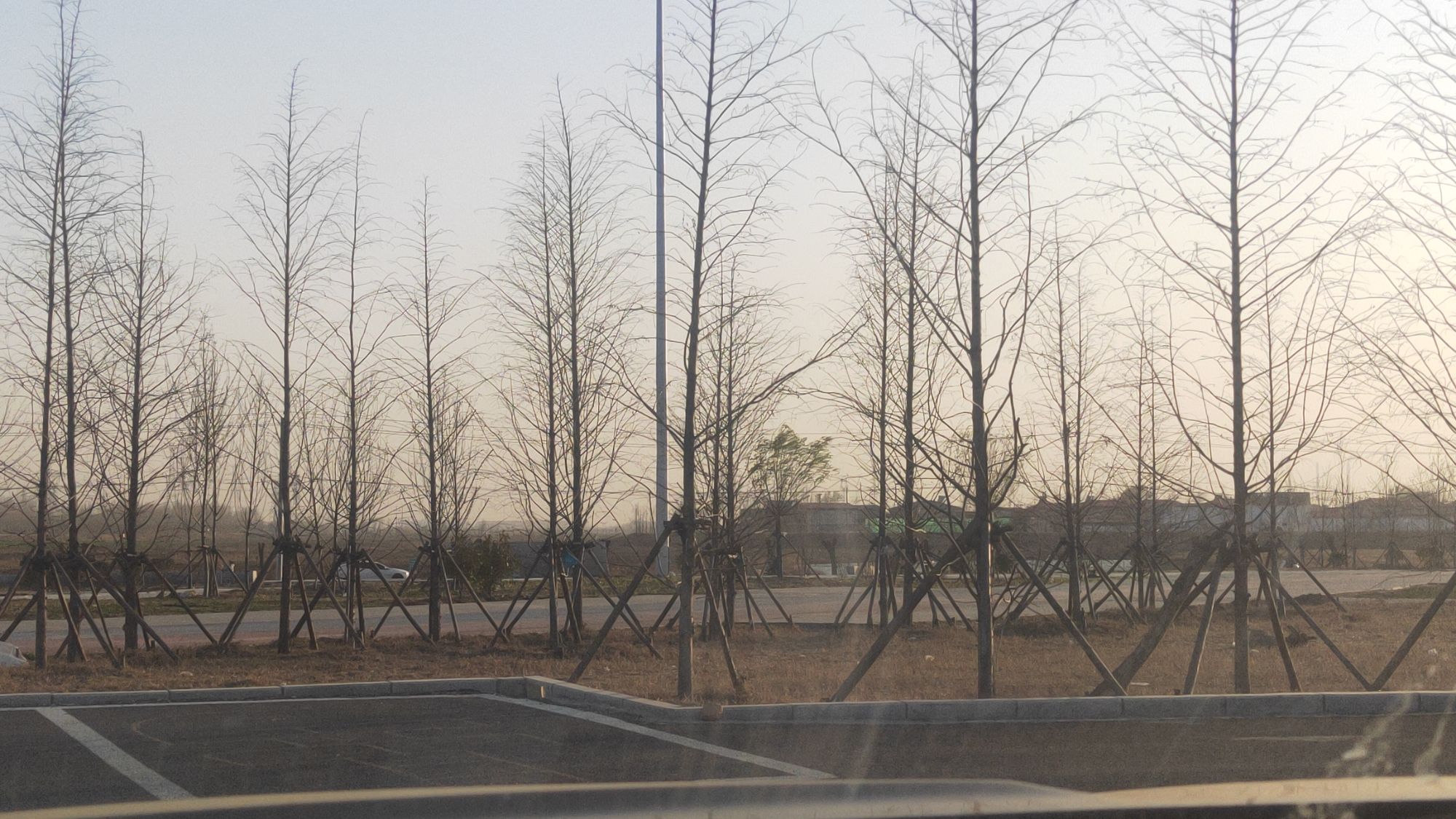 滏阳河生态修复公园旅行图片 3