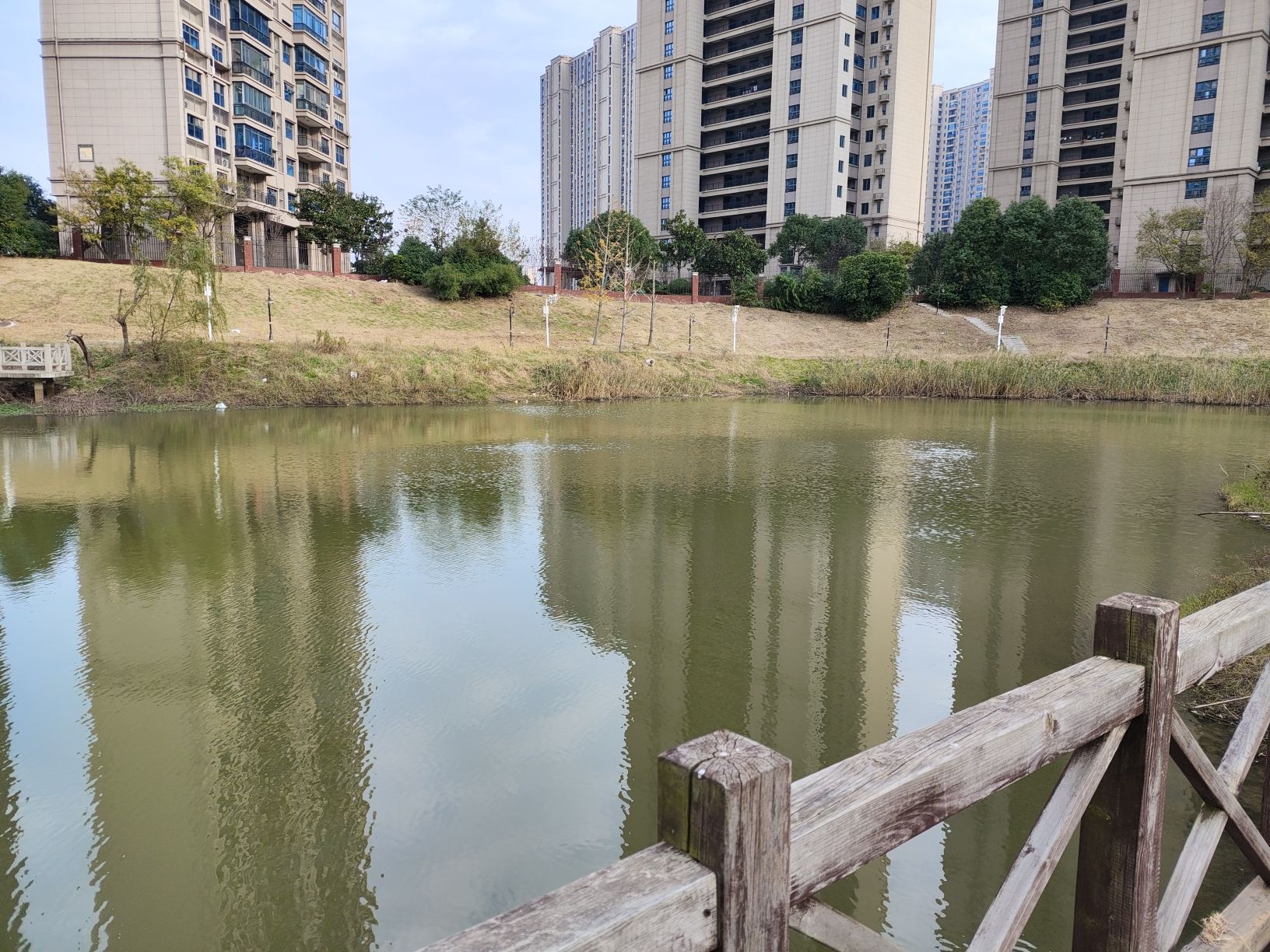 芷兰湾湖公园旅行图片 3